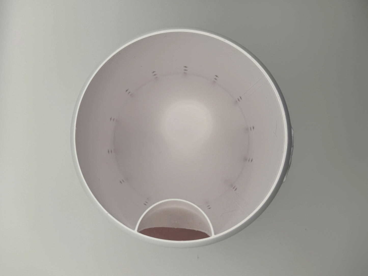 Top view of an empty white plastic container with a small compartment inside