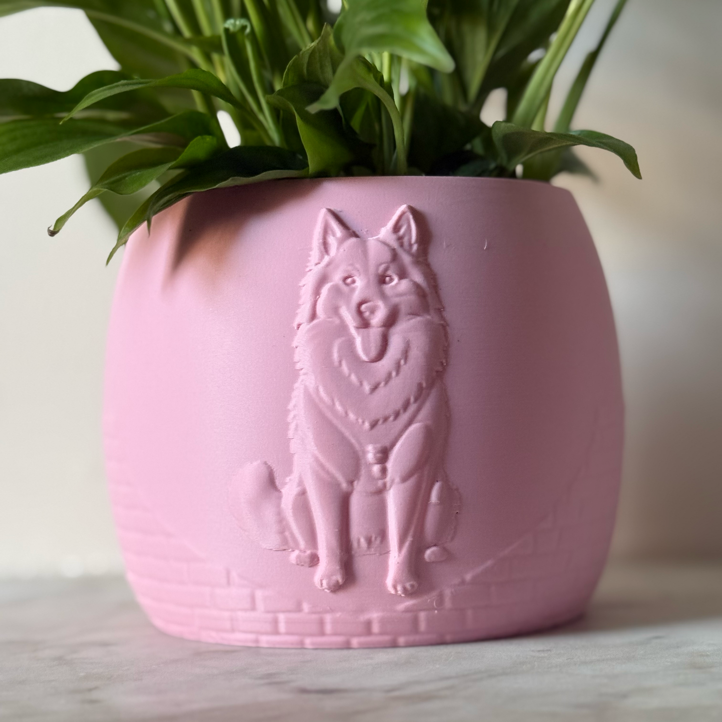 Green potted plant in a pink plant pot with an embossed Husky standing on a marble surface