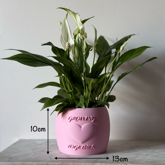 Potted plant in a pink Potfolia plant pot with embossed heart and Growing Together text on a marble surface with measurements