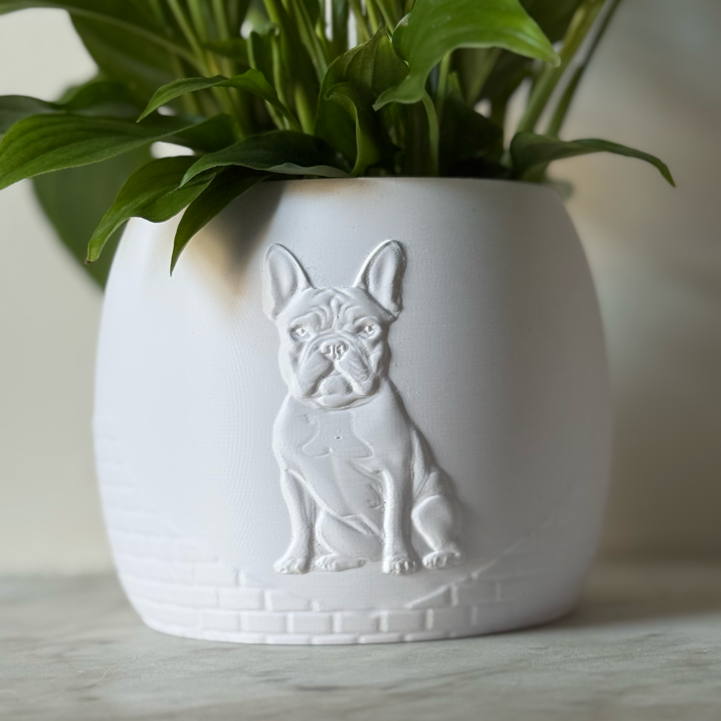 Green potted plant in a white plant pot with an embossed French Bulldog standing on a marble surface