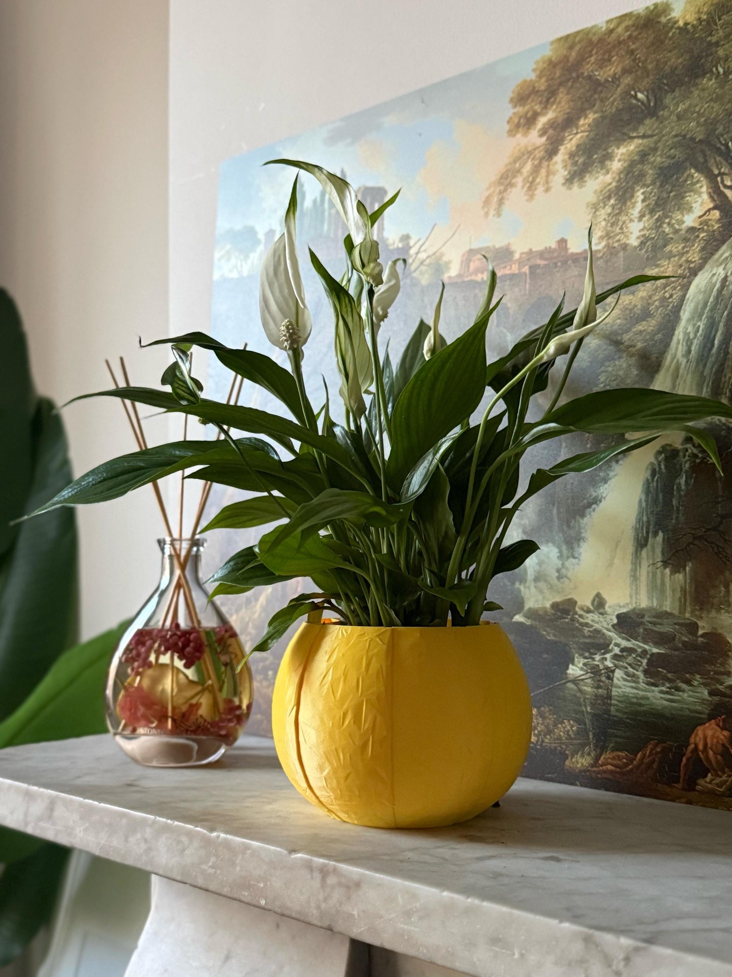 Self Watering Plant Pot – Medium Indoor Planter with Hidden Reservoir – Self Watering Herb & Succulent Pot – Easy Care Plant Gift