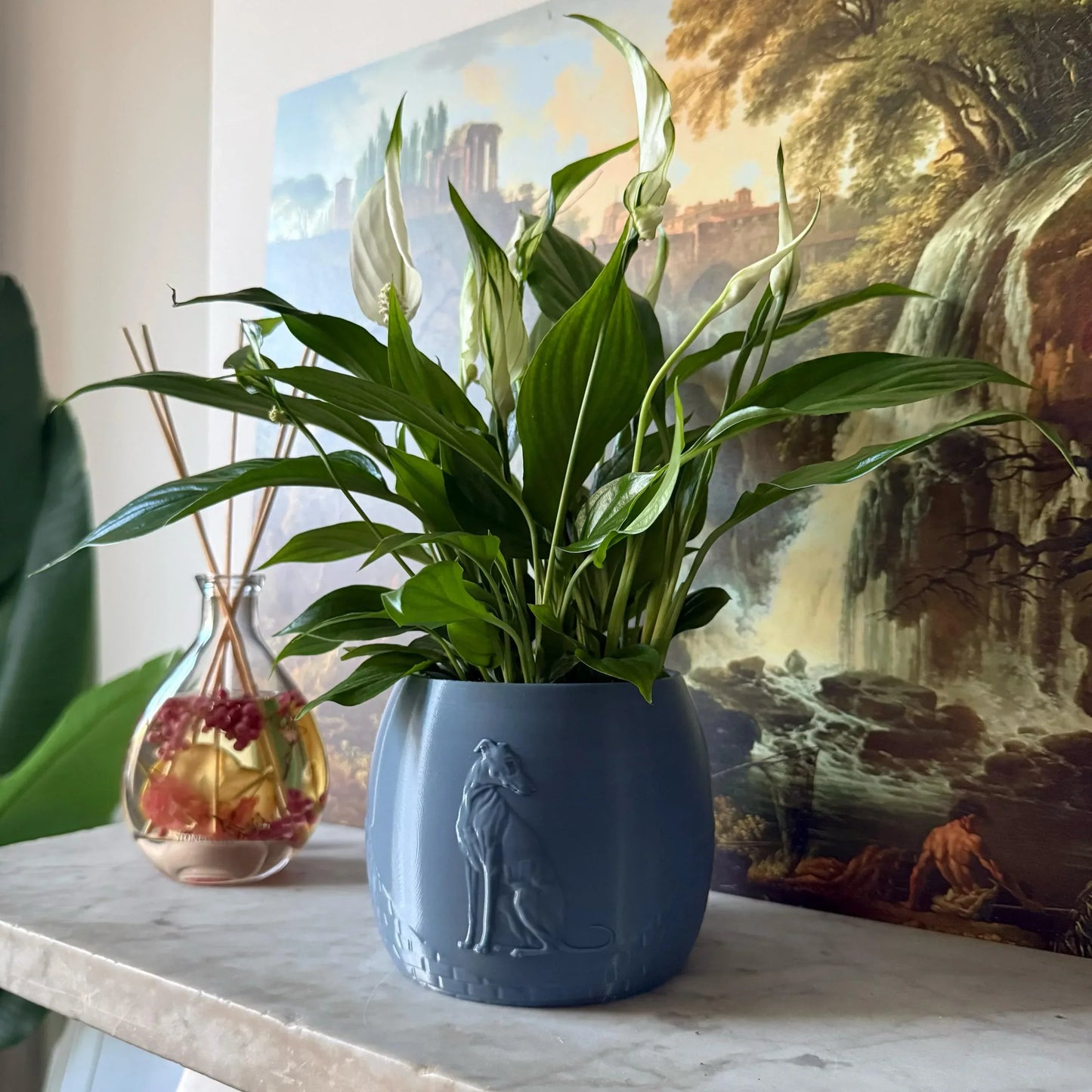 Green potted plant in a blue-grey plant pot with an embossed Greyhound standing on a marble surface