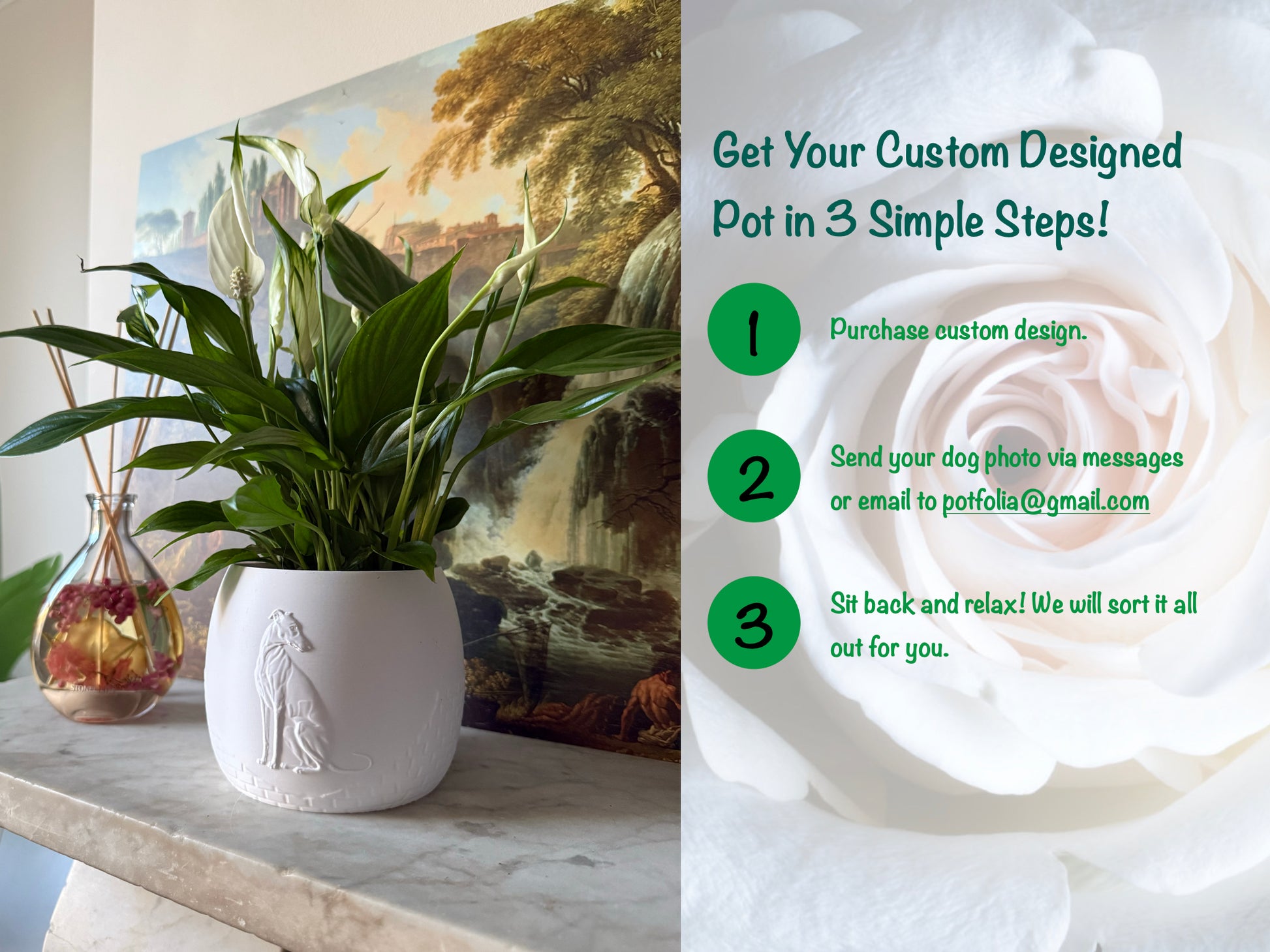 Green potted plant in a white plant pot with an embossed Greyhound standing on a marble surface