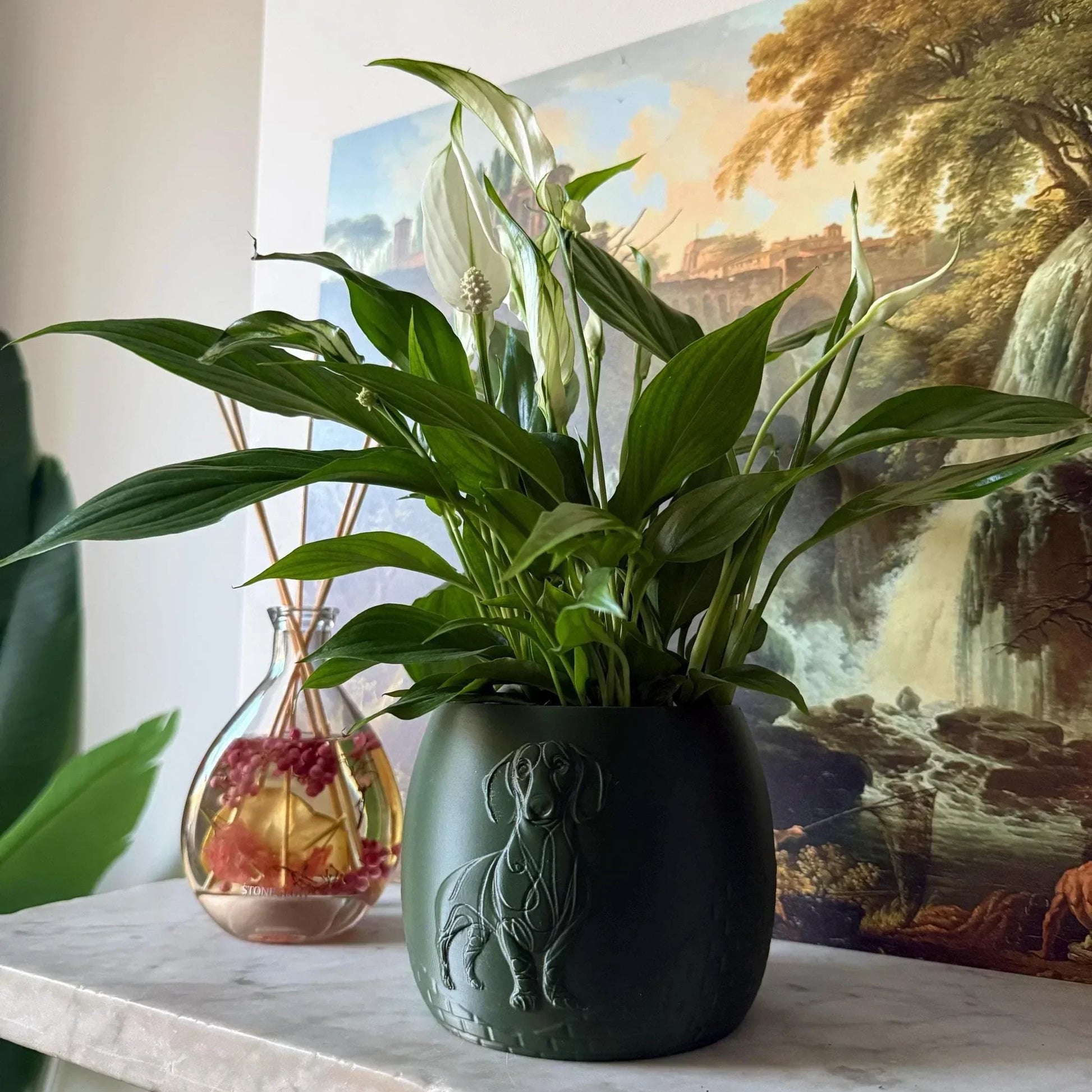 Green potted plant in a green plant pot with an embossed Sausage Dog standing on a marble surface