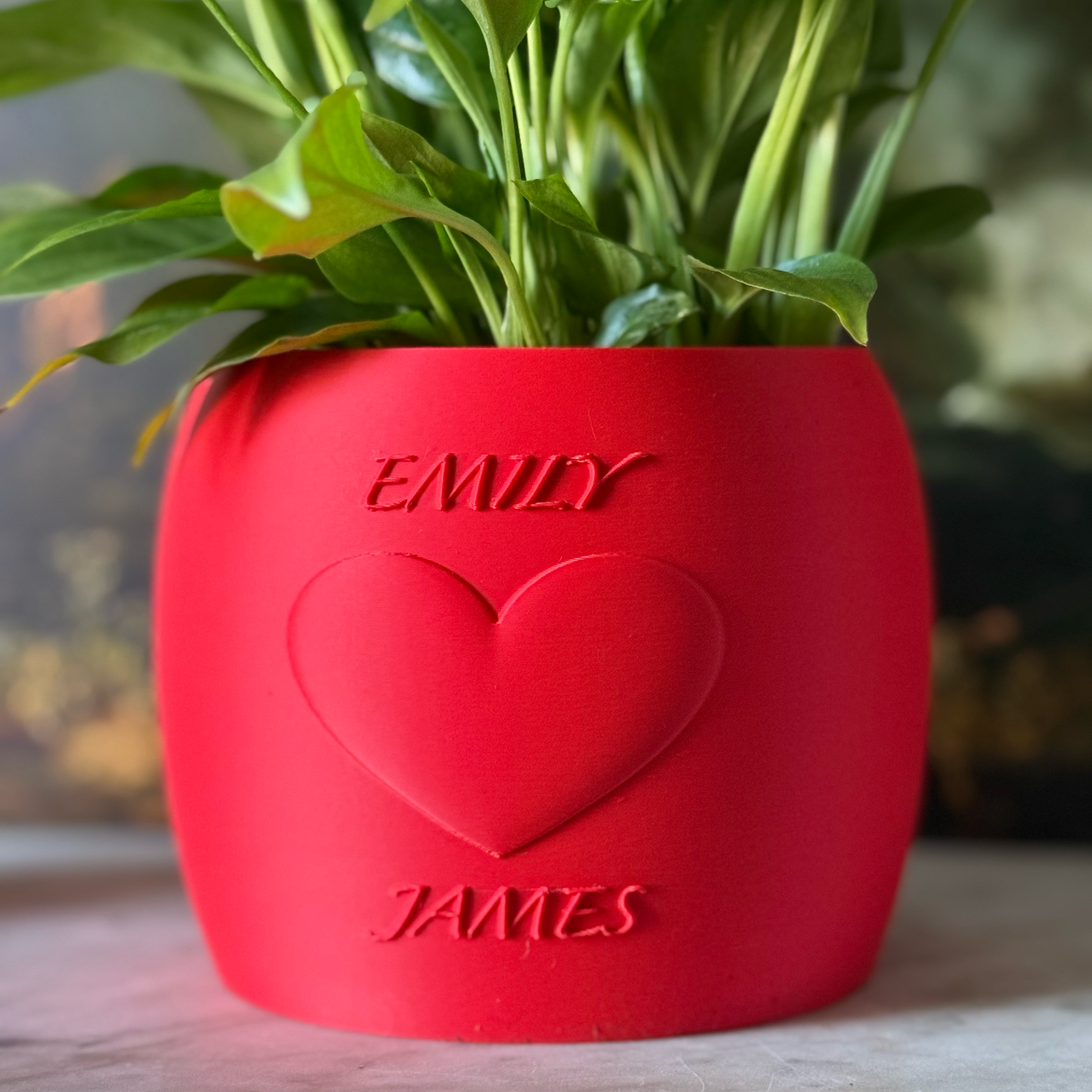 Potted plant in a red Potfolia plant pot with embossed heart and names on a marble surface