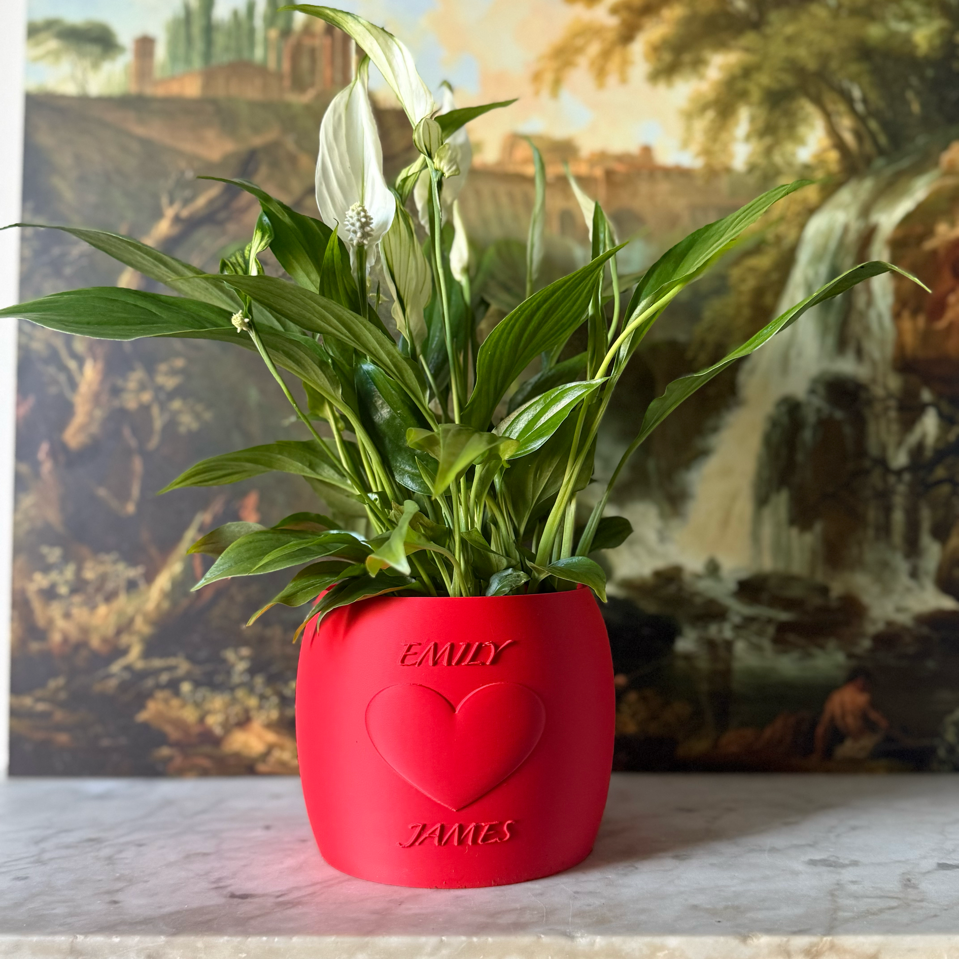 Potted plant in a red Potfolia plant pot with embossed heart and names on a marble surface