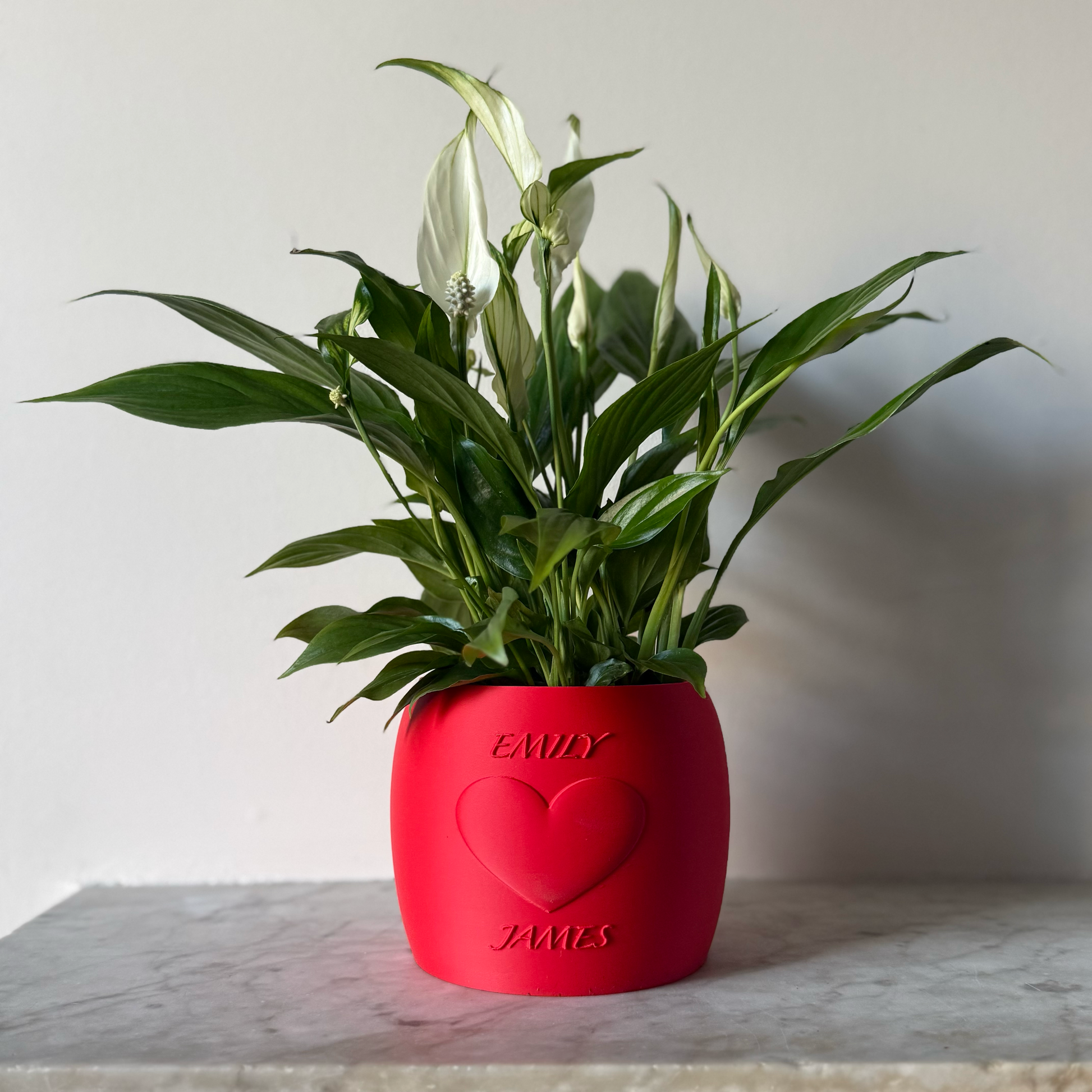 Potted plant in a red Potfolia plant pot with embossed heart and names on a marble surface