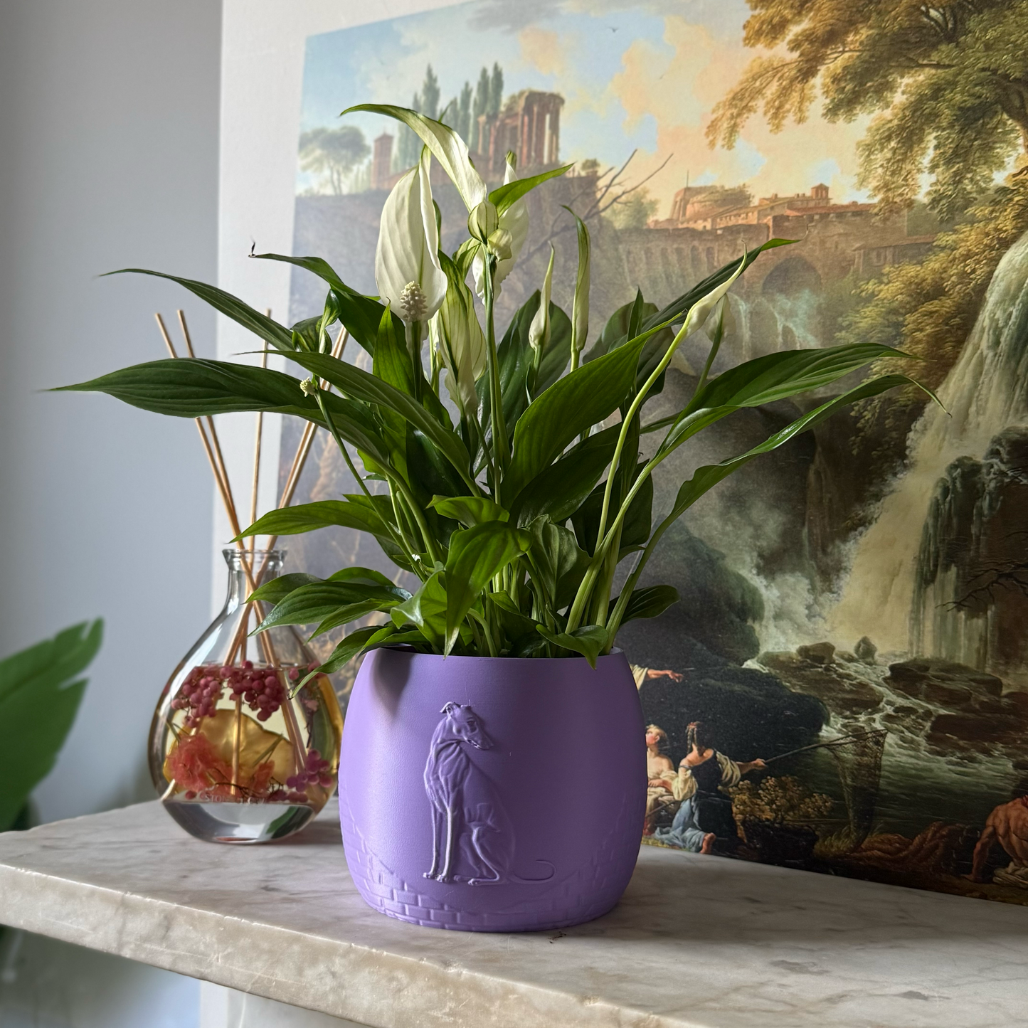 Green potted plant in a purple plant pot with an embossed Greyhound standing on a marble surface