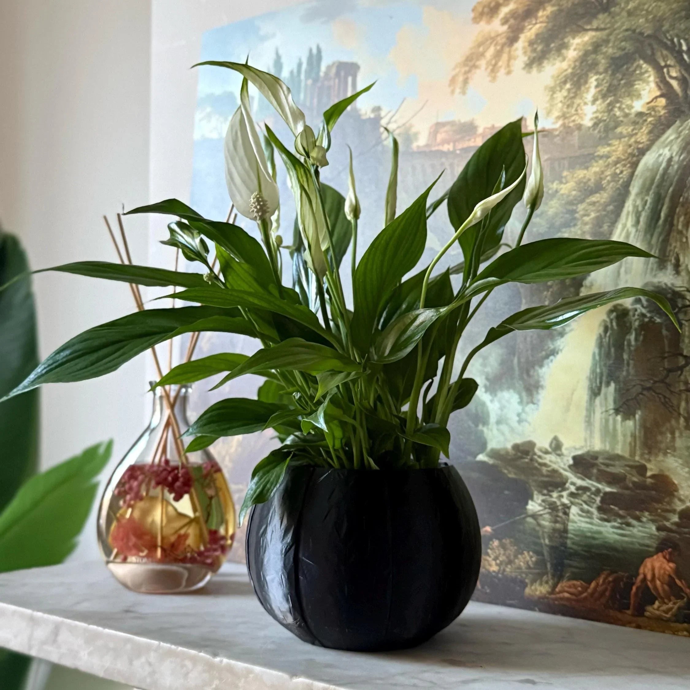 Green potted plant in a black plant pot on a marble surface with a painting in the background