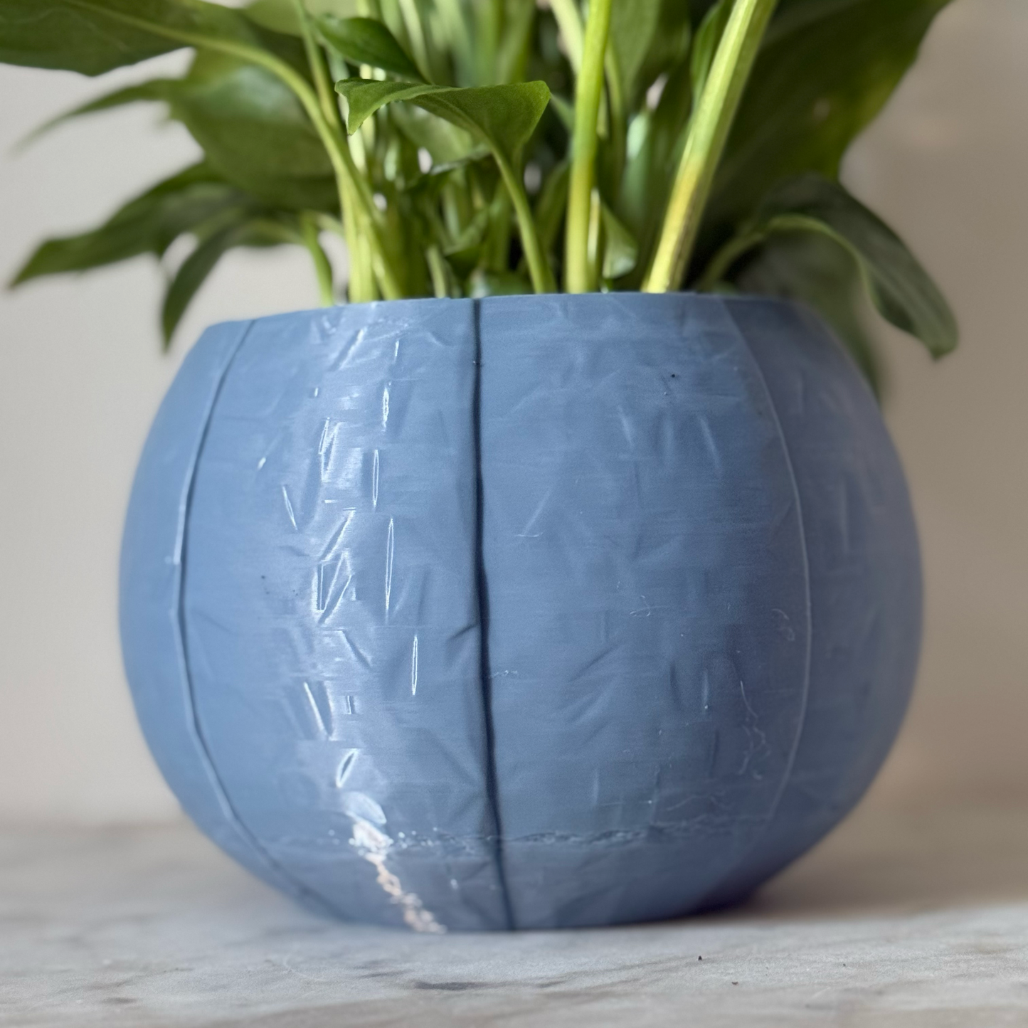 Potted plant in a blue-grey plant pot on a marble surface against a white background