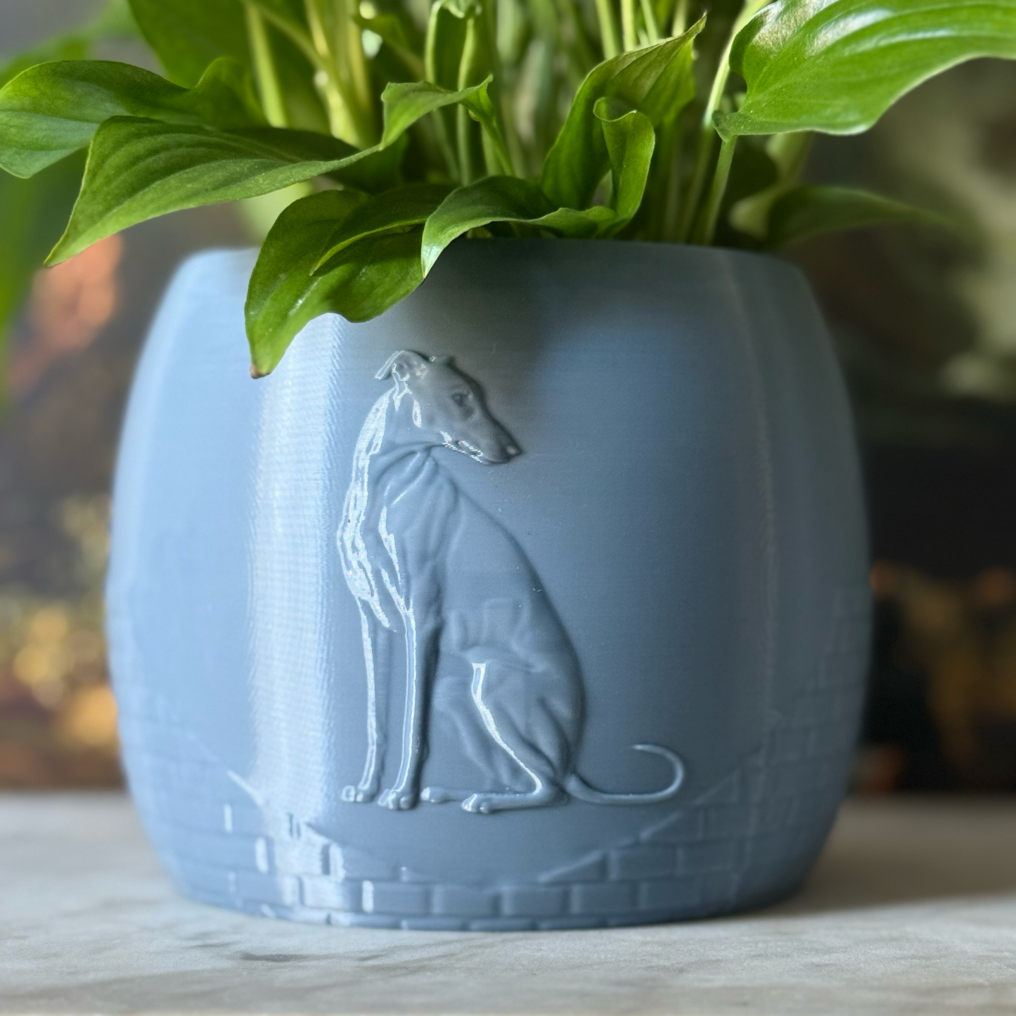 Green potted plant in a blue-grey plant pot with an embossed Greyhound standing on a marble surface