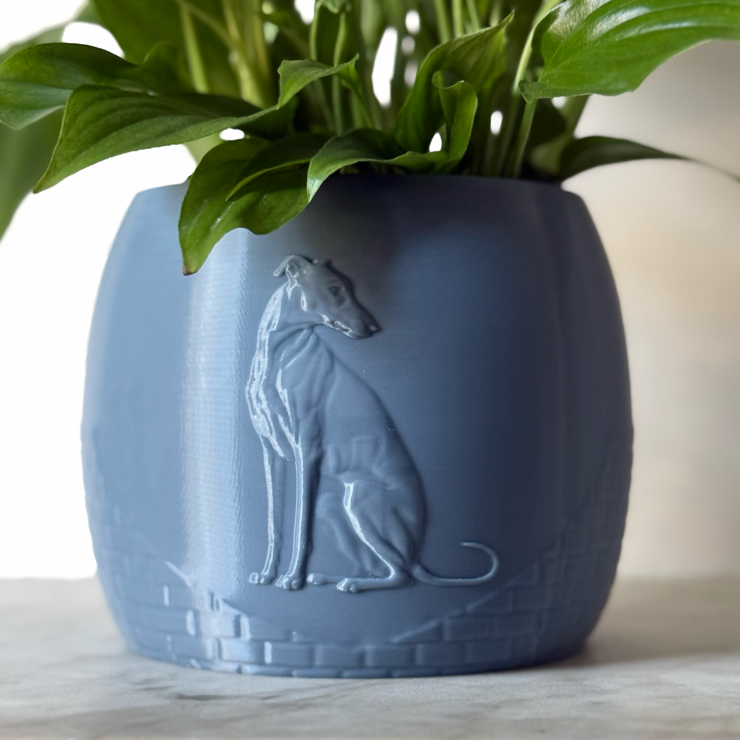 Green potted plant in a blue-grey plant pot with an embossed Greyhound standing on a marble surface