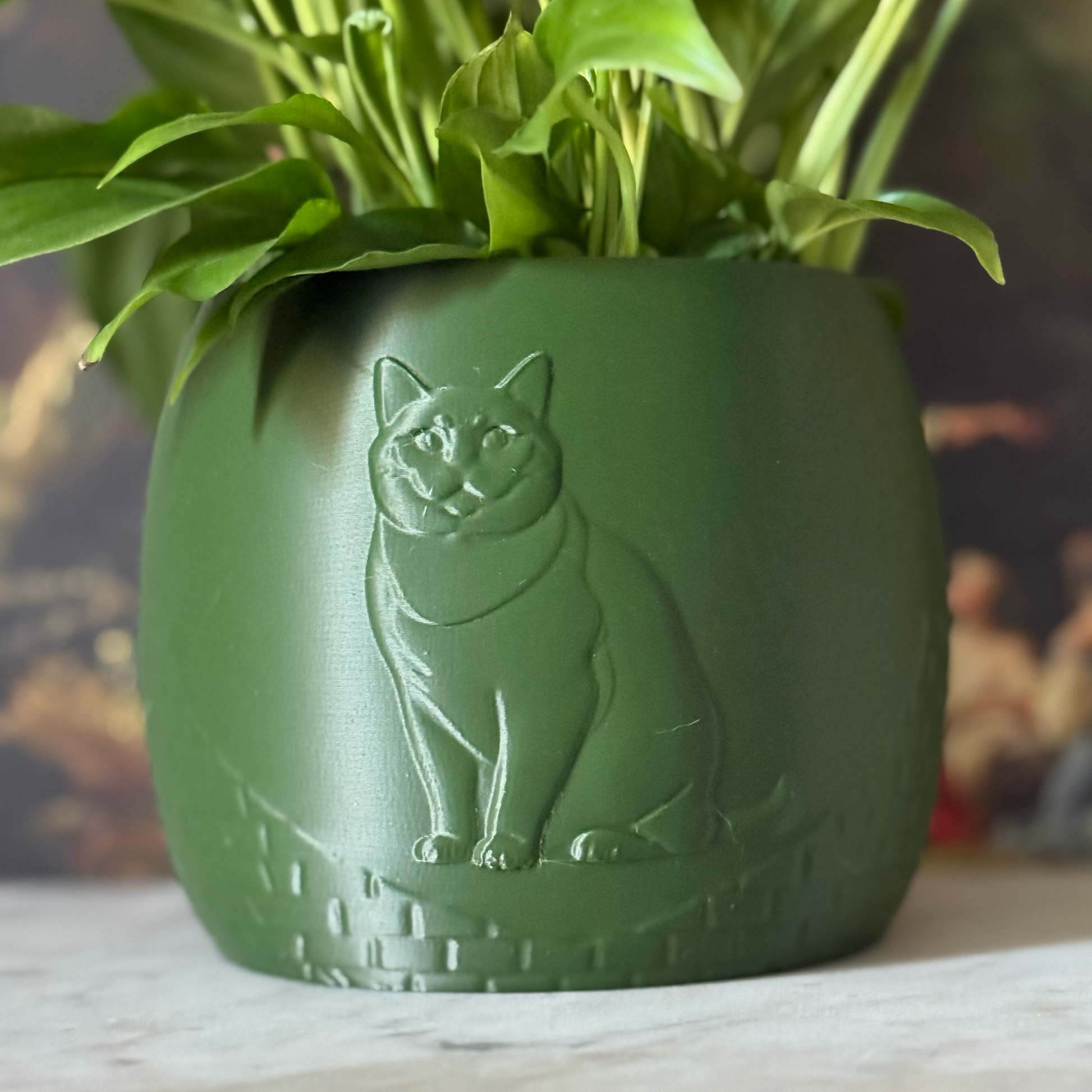 Green potted plant in a green plant pot with an embossed British Shorthair standing on a marble surface