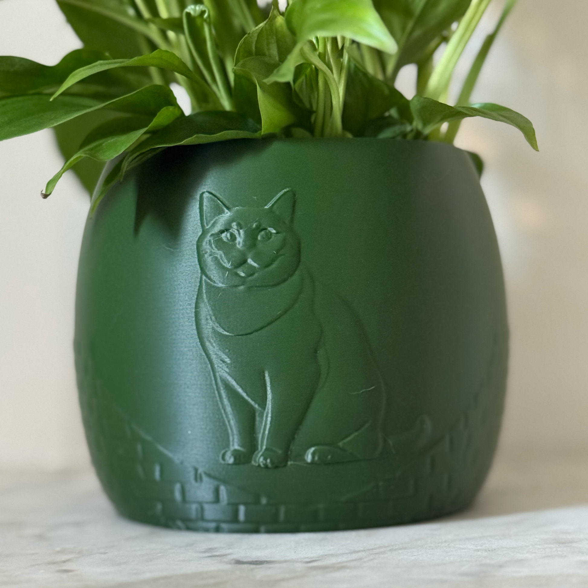 Green potted plant in a green plant pot with an embossed British Shorthair standing on a marble surface