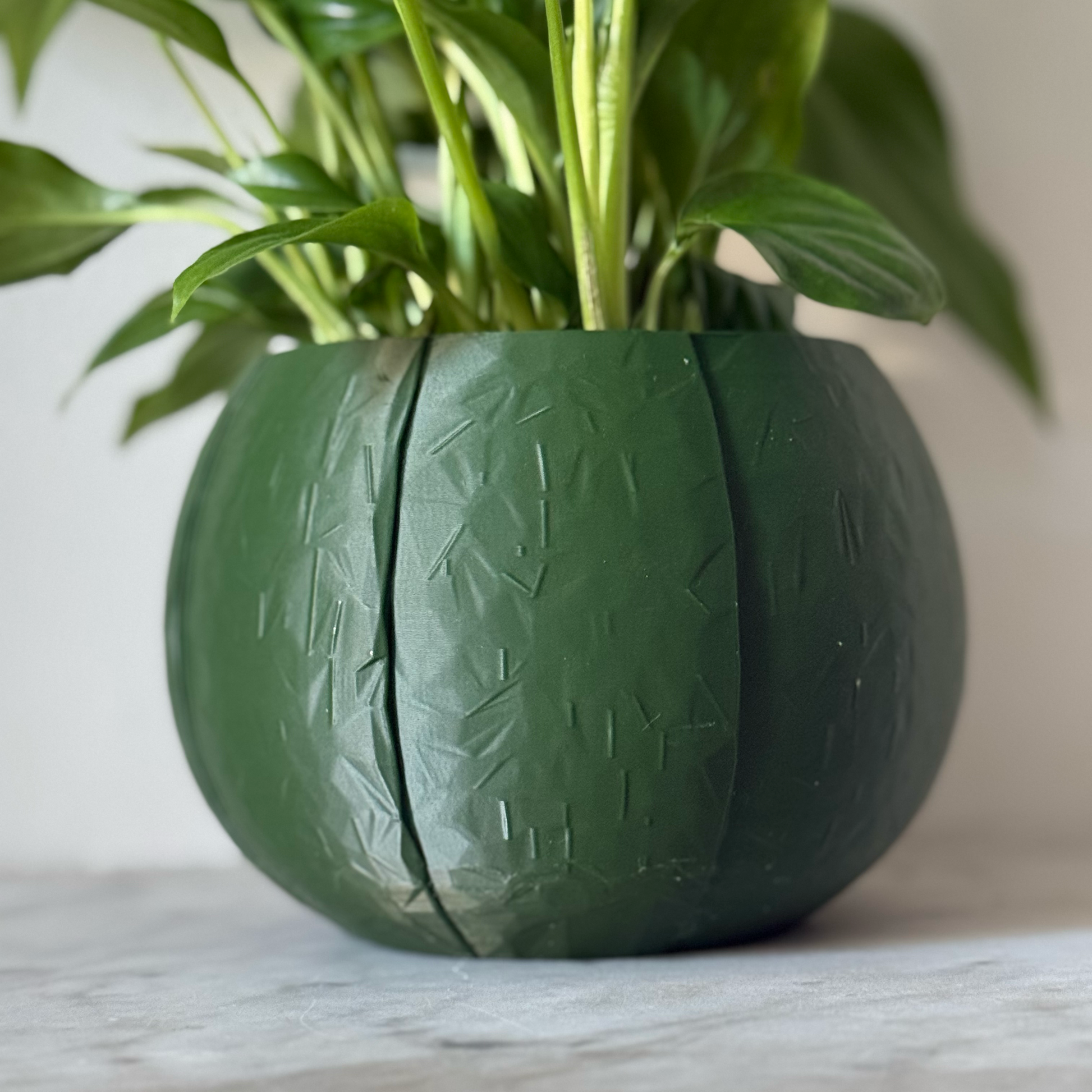 Potted plant in a green plant pot on a marble surface against a white background