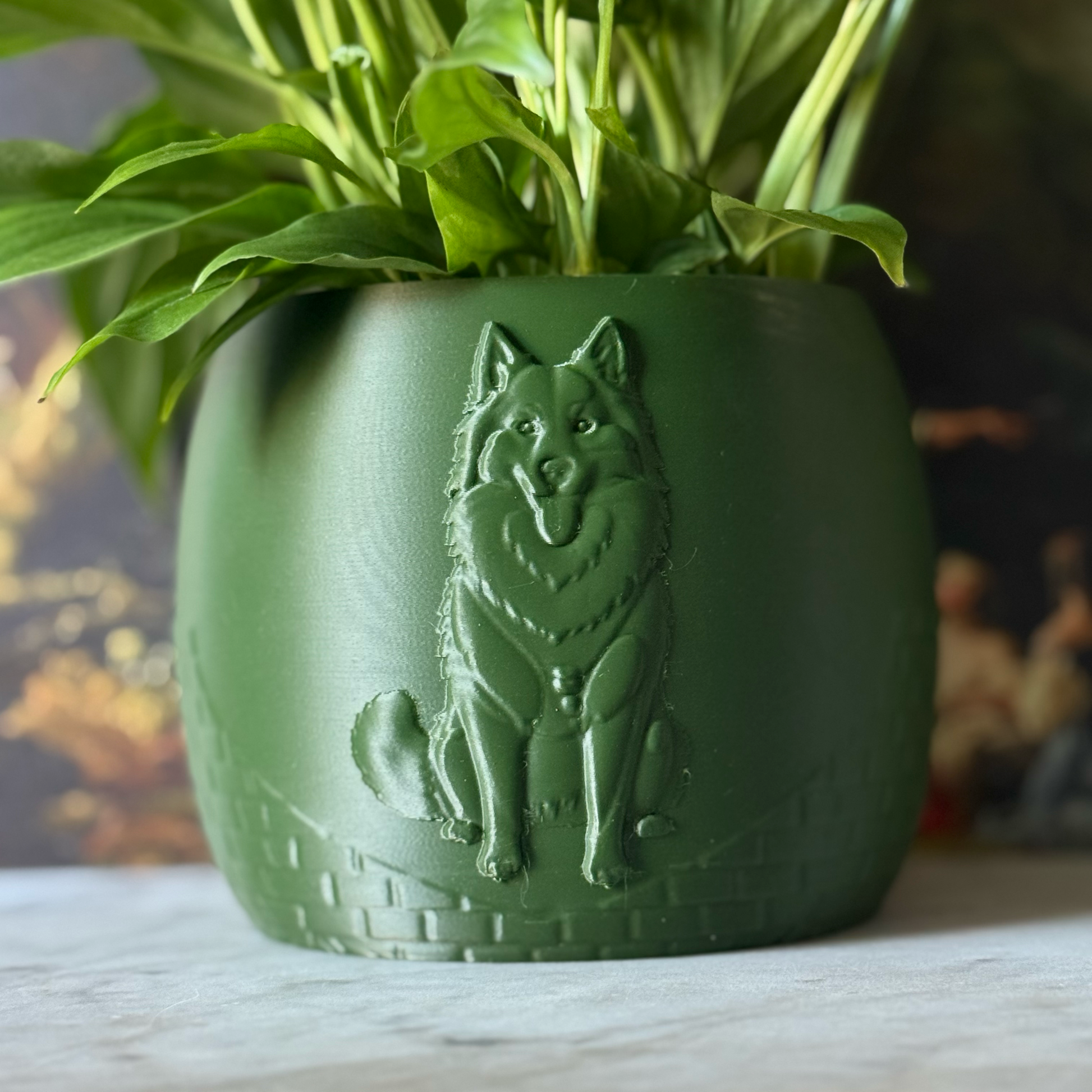 Green potted plant in a green plant pot with an embossed Husky standing on a marble surface