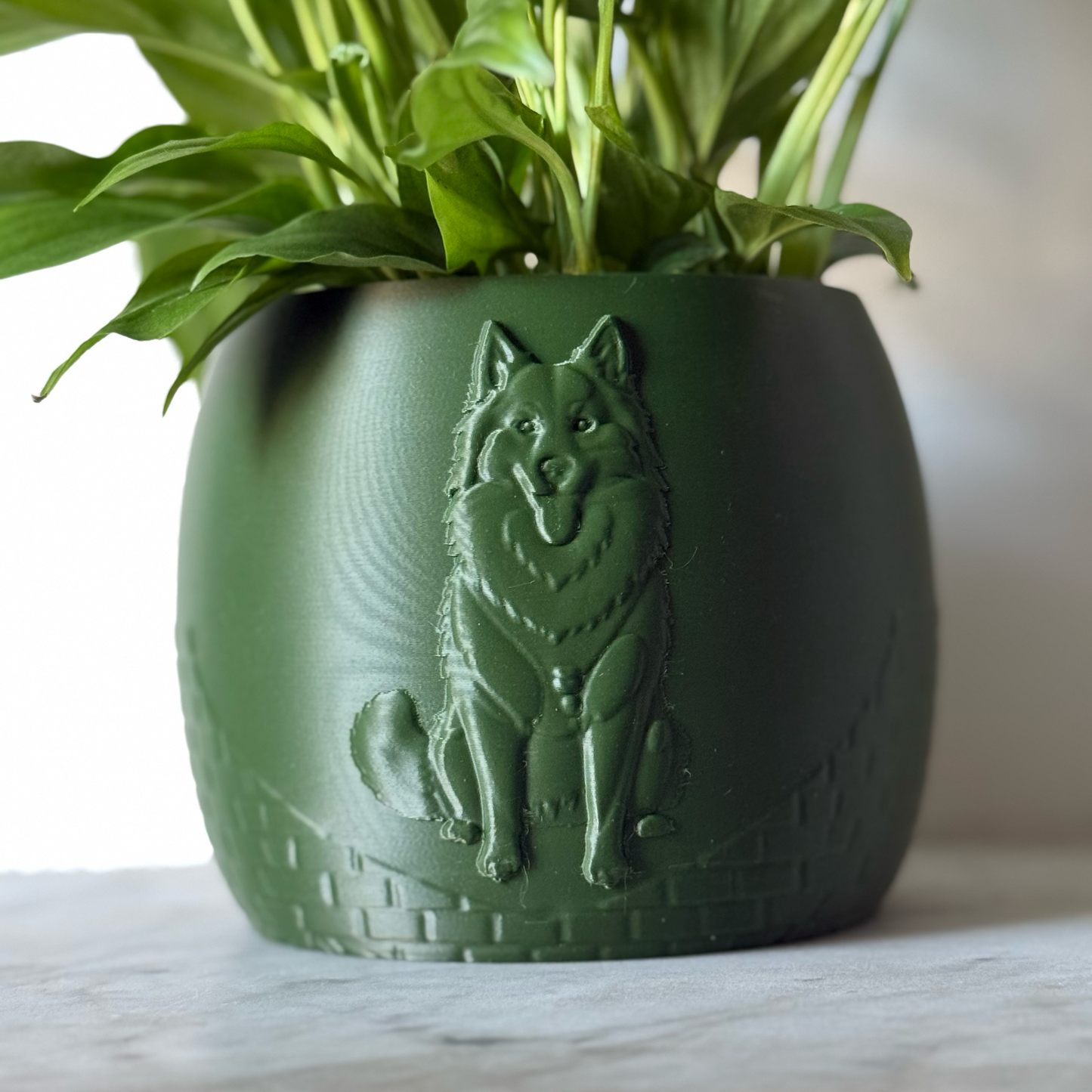 Green potted plant in a green plant pot with an embossed Husky standing on a marble surface