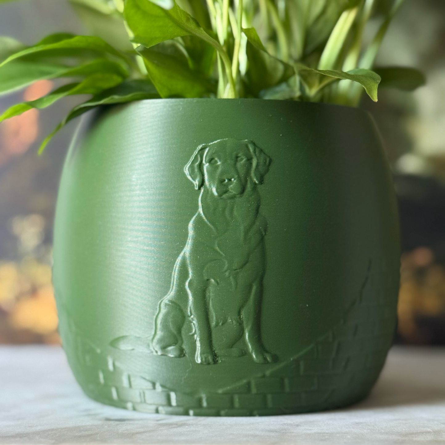 Green potted plant in a green plant pot with an embossed Labrador standing on a marble surface