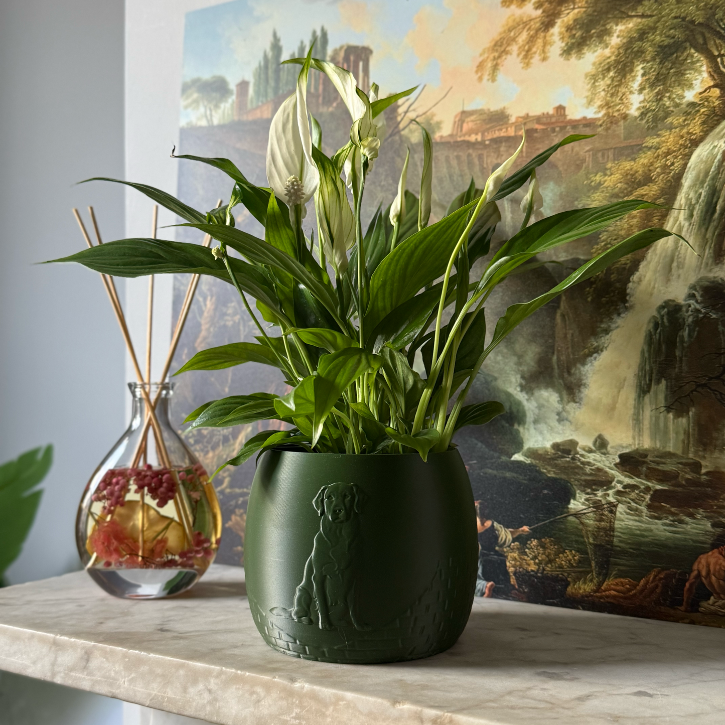 Green potted plant in a green plant pot with an embossed Labrador standing on a marble surface