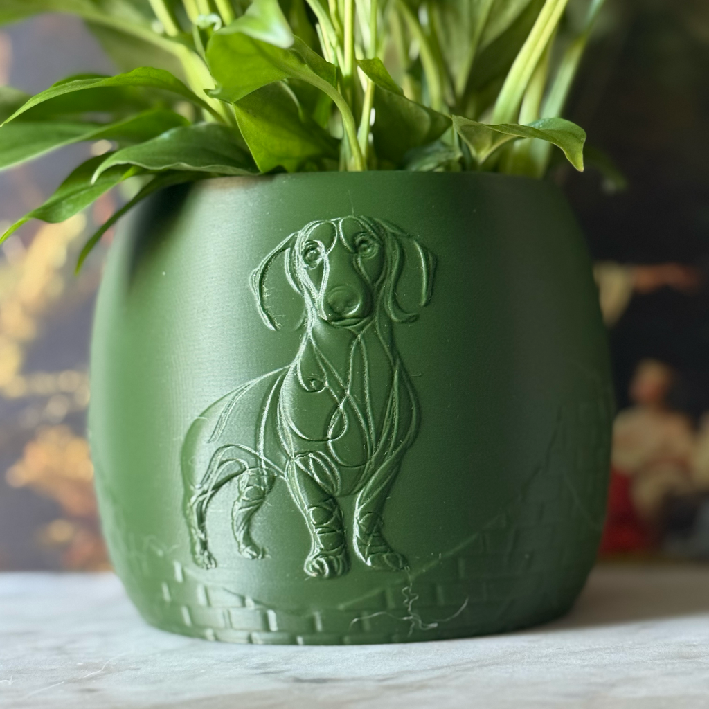 Green potted plant in a green plant pot with an embossed Sausage Dog standing on a marble surface