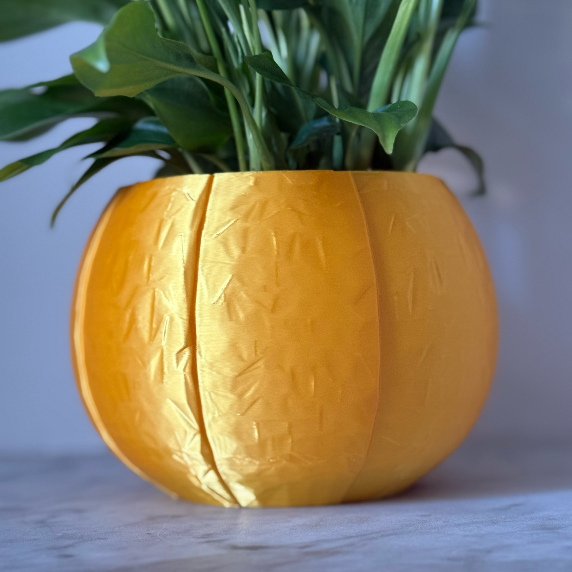 Potted plant in a gold plant pot on a marble surface against a white background