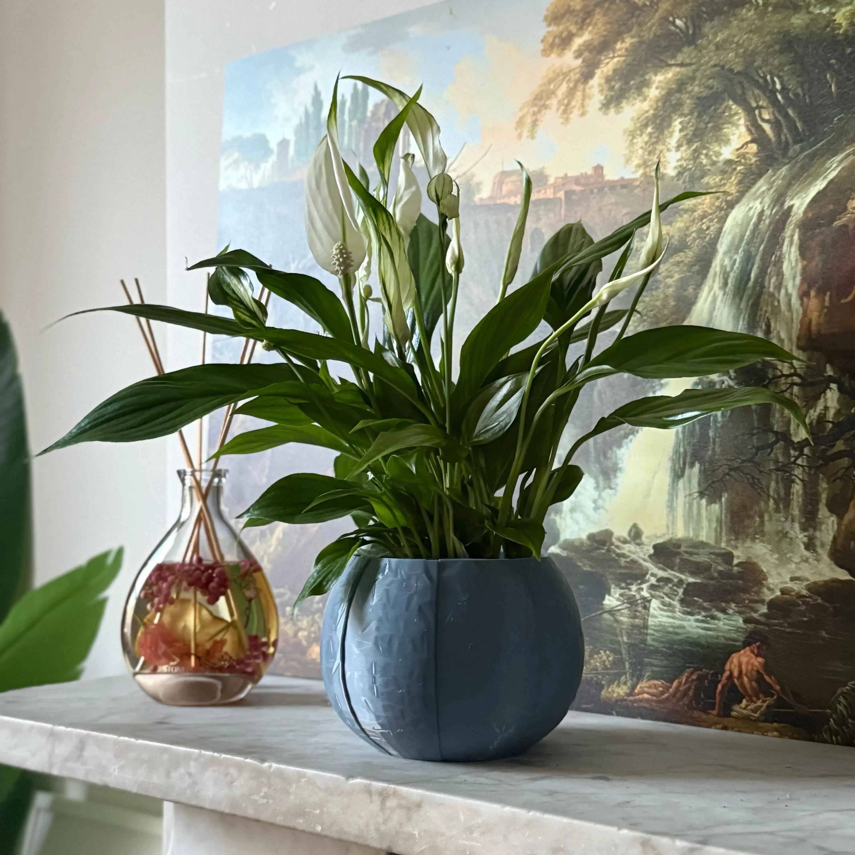 Green potted plant in a blue-grey plant pot on a marble surface with a painting in the background