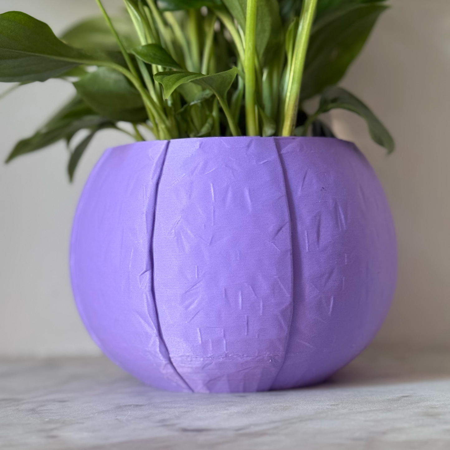 Potted plant in a purple plant pot on a marble surface against a white background