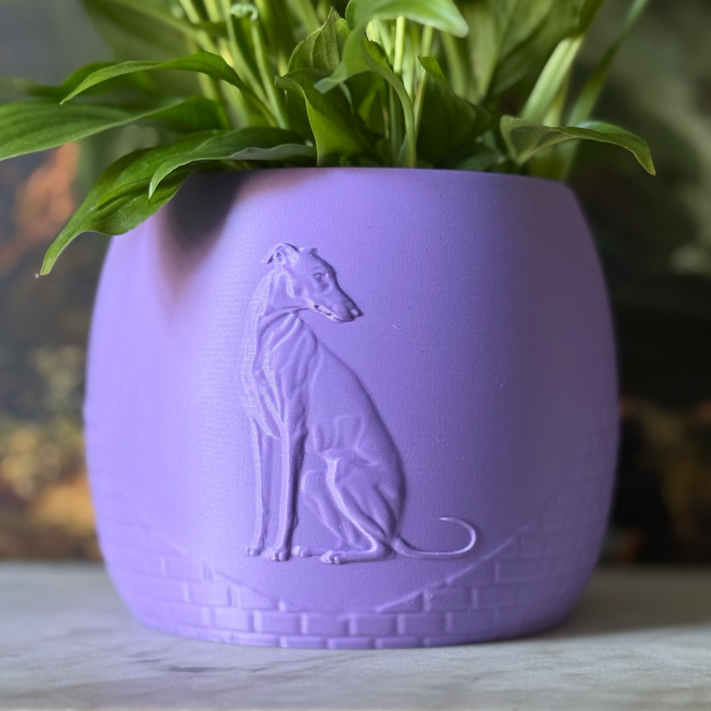Green potted plant in a purple plant pot with an embossed Greyhound standing on a marble surface