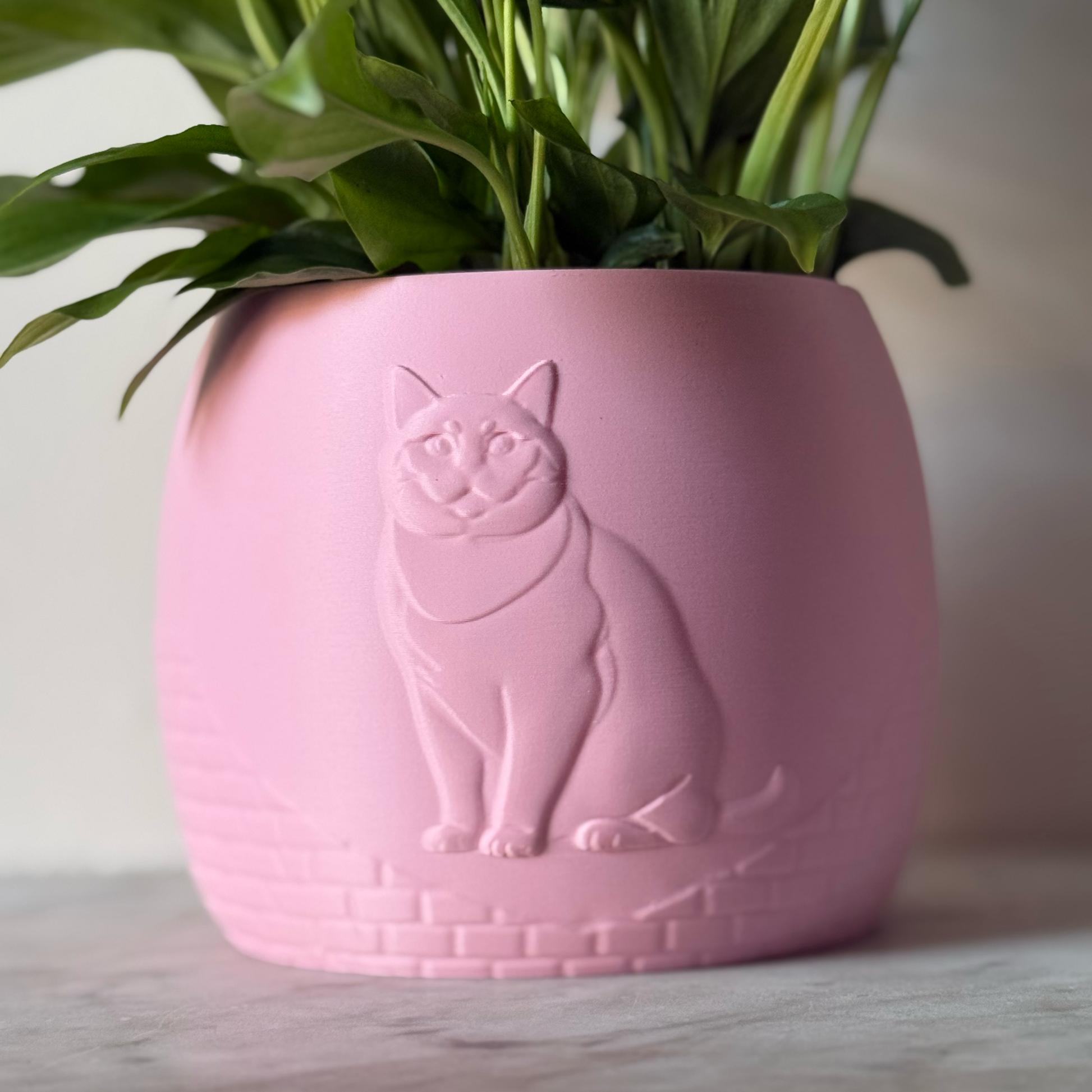 Green potted plant in a pink plant pot with an embossed British Shorthair standing on a marble surface