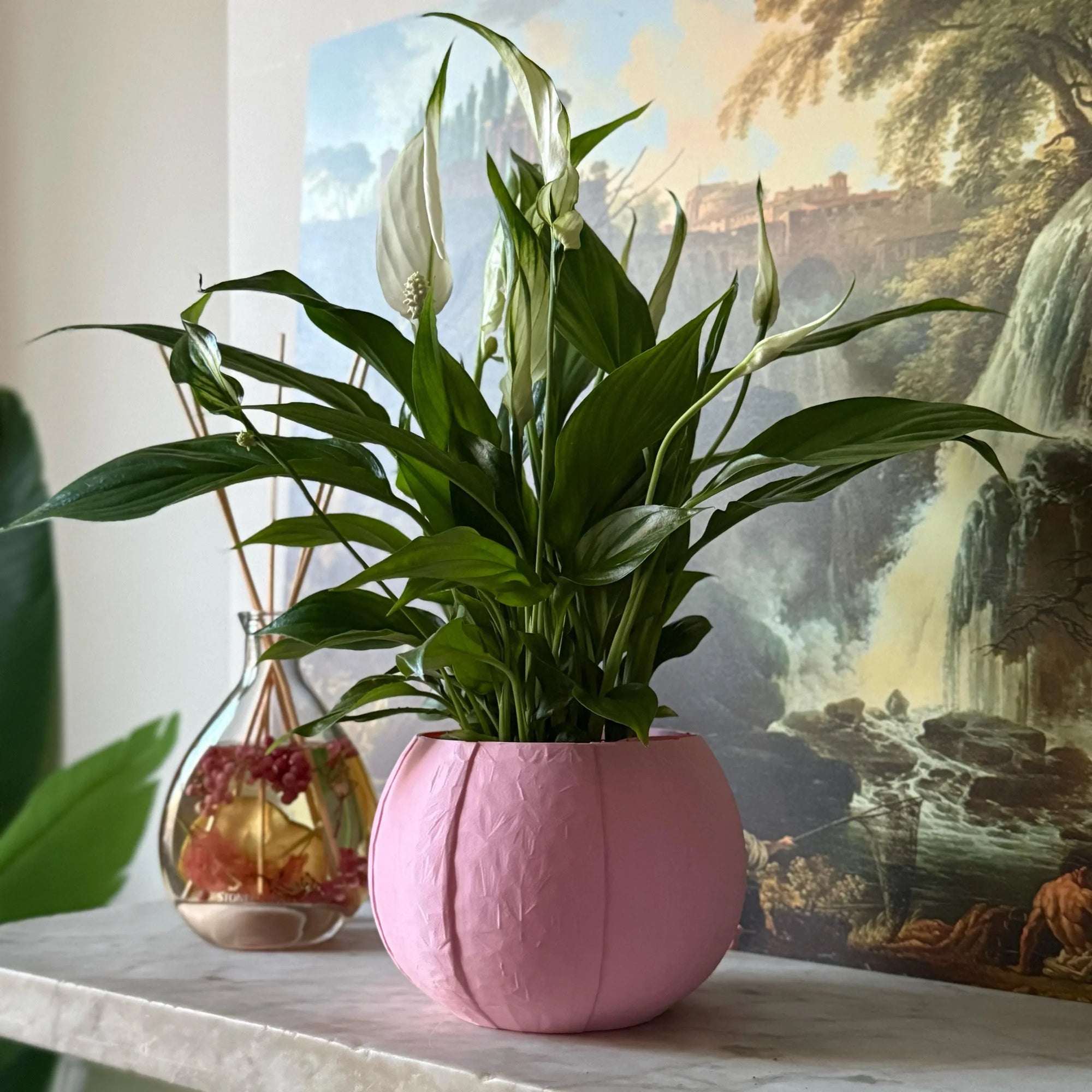 Green potted plant in a pink plant pot on a marble surface with a painting in the background
