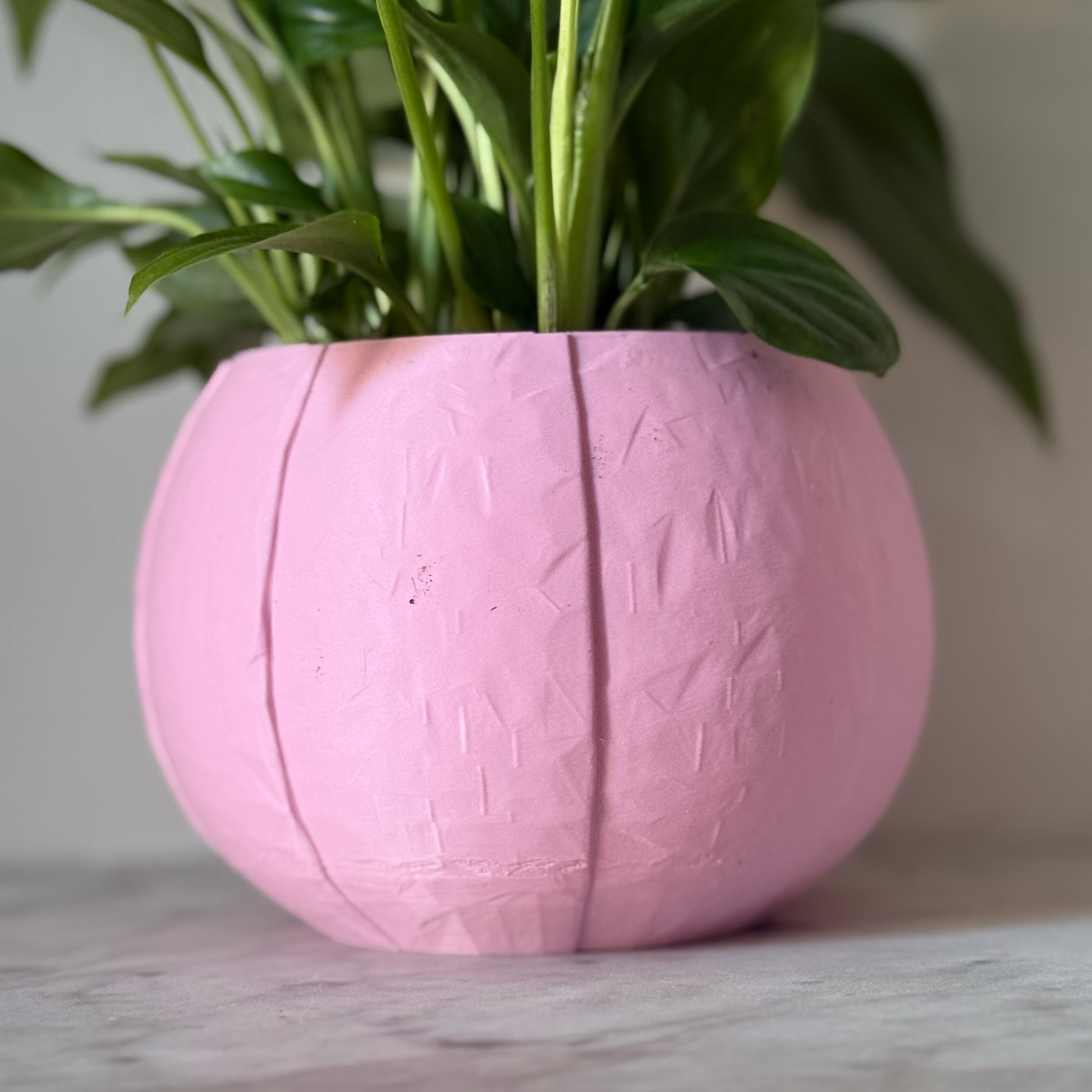 Potted plant in a pink plant pot on a marble surface against a white background