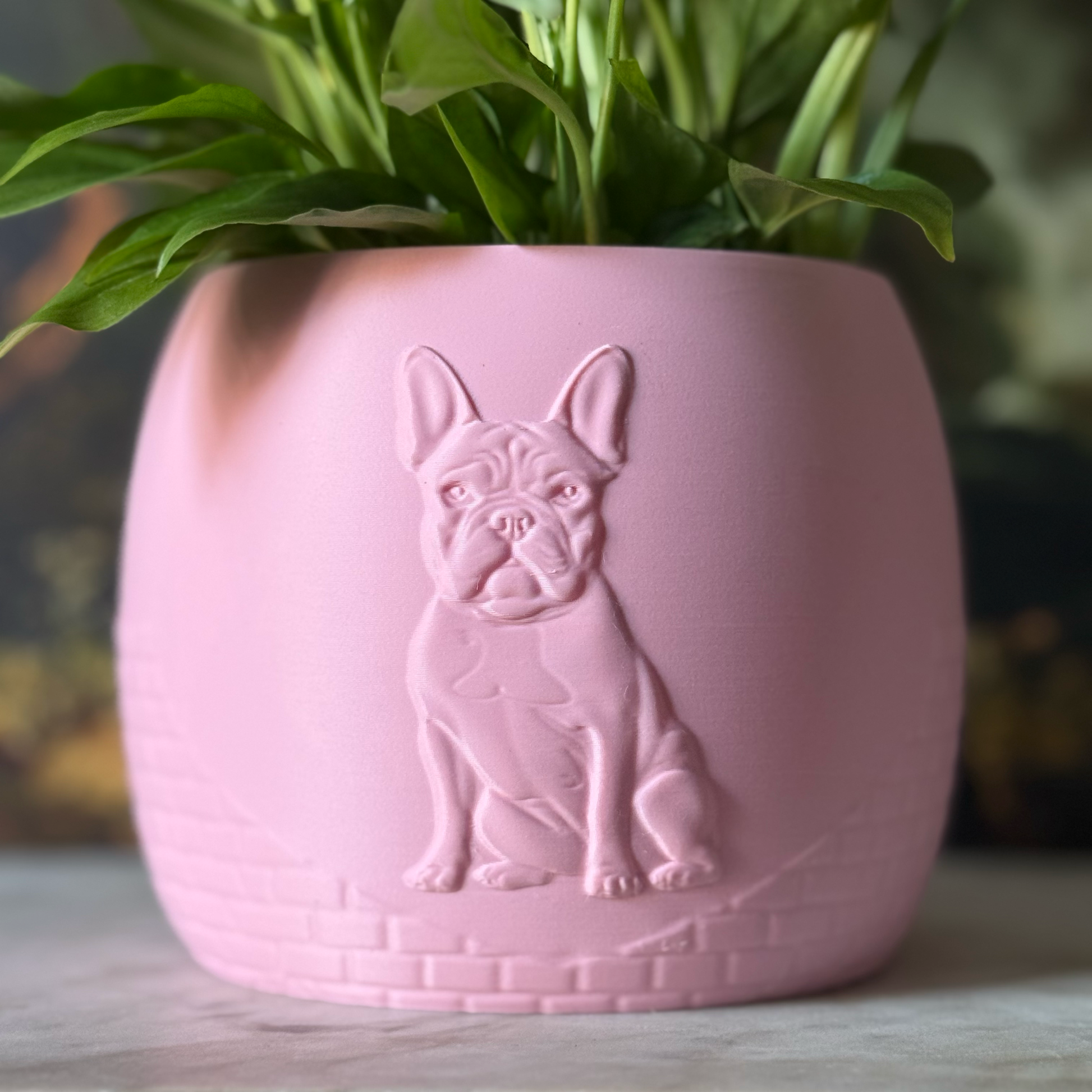 Green potted plant in a pink plant pot with an embossed French Bulldog standing on a marble surface