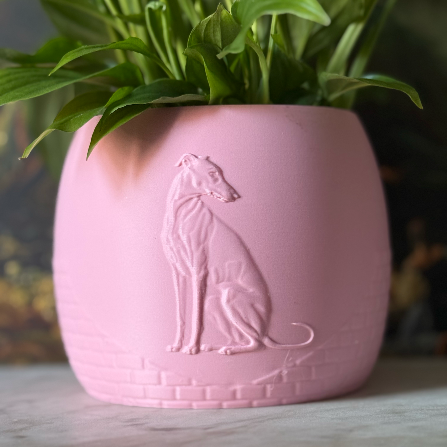 Green potted plant in a pink plant pot with an embossed Greyhound standing on a marble surface