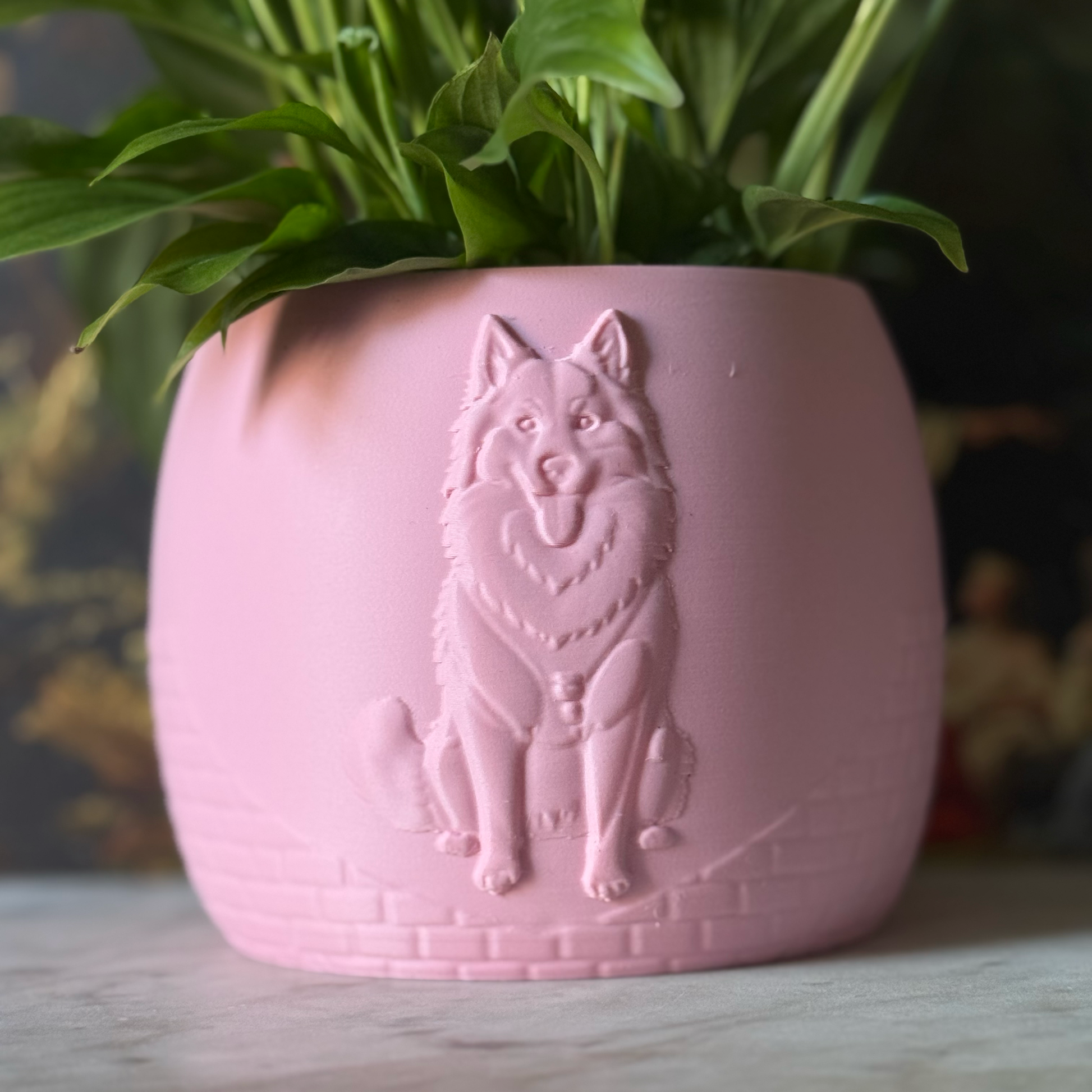 Green potted plant in a pink plant pot with an embossed Husky standing on a marble surface