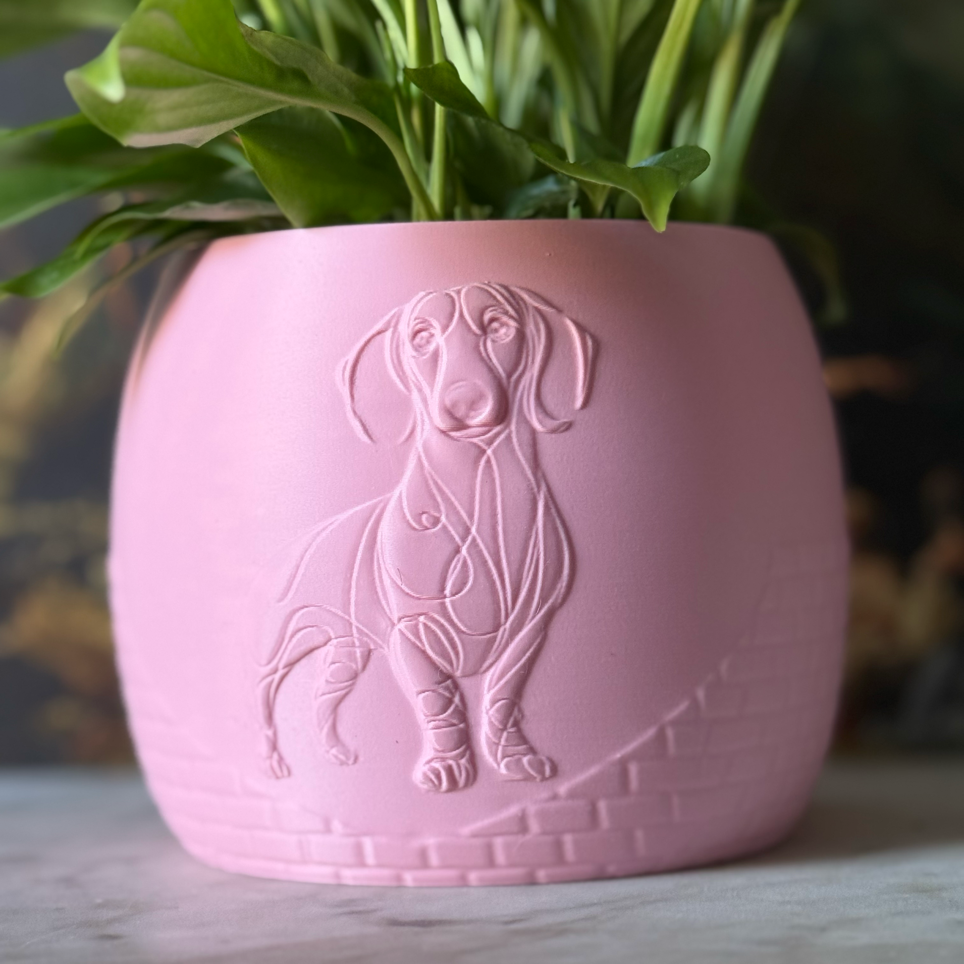 Green potted plant in a pink plant pot with an embossed Sausage Dog standing on a marble surface
