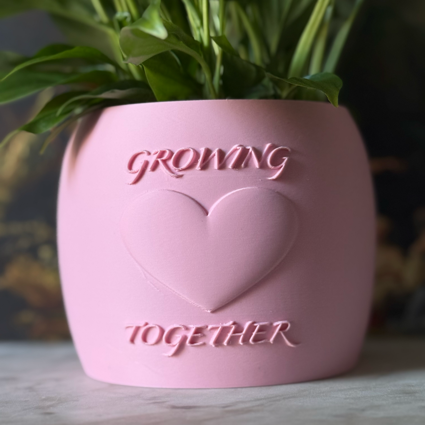 Potted plant in a pink Potfolia plant pot with embossed heart and Growing Together text on a marble surface