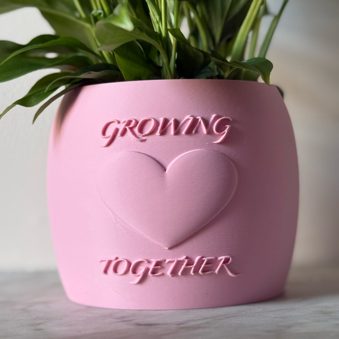 Potted plant in a pink Potfolia plant pot with embossed heart and Growing Together text on a marble surface
