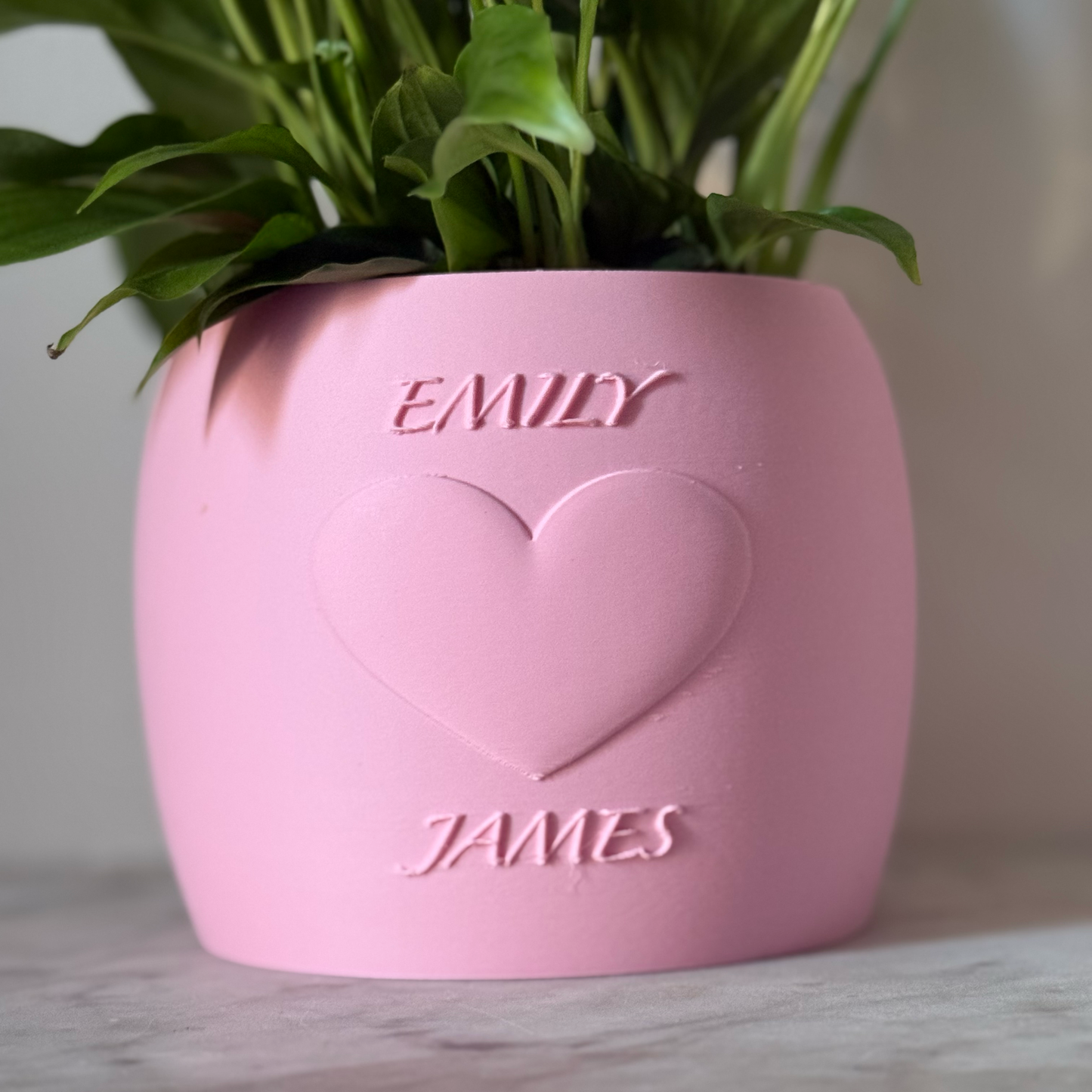 Potted plant in a pink Potfolia plant pot with embossed heart and names on a marble surface