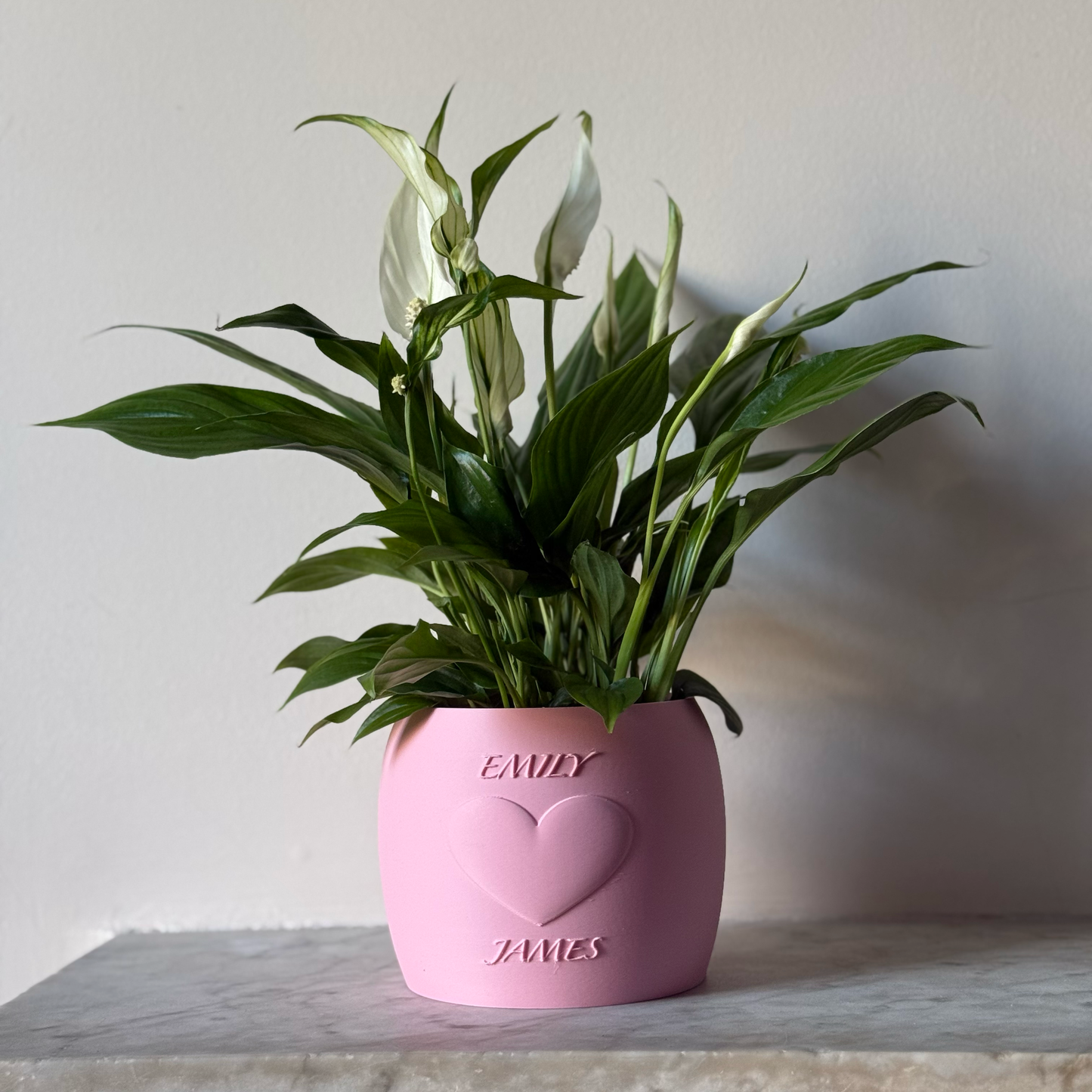 Potted plant in a pink Potfolia plant pot with embossed heart and names on a marble surface