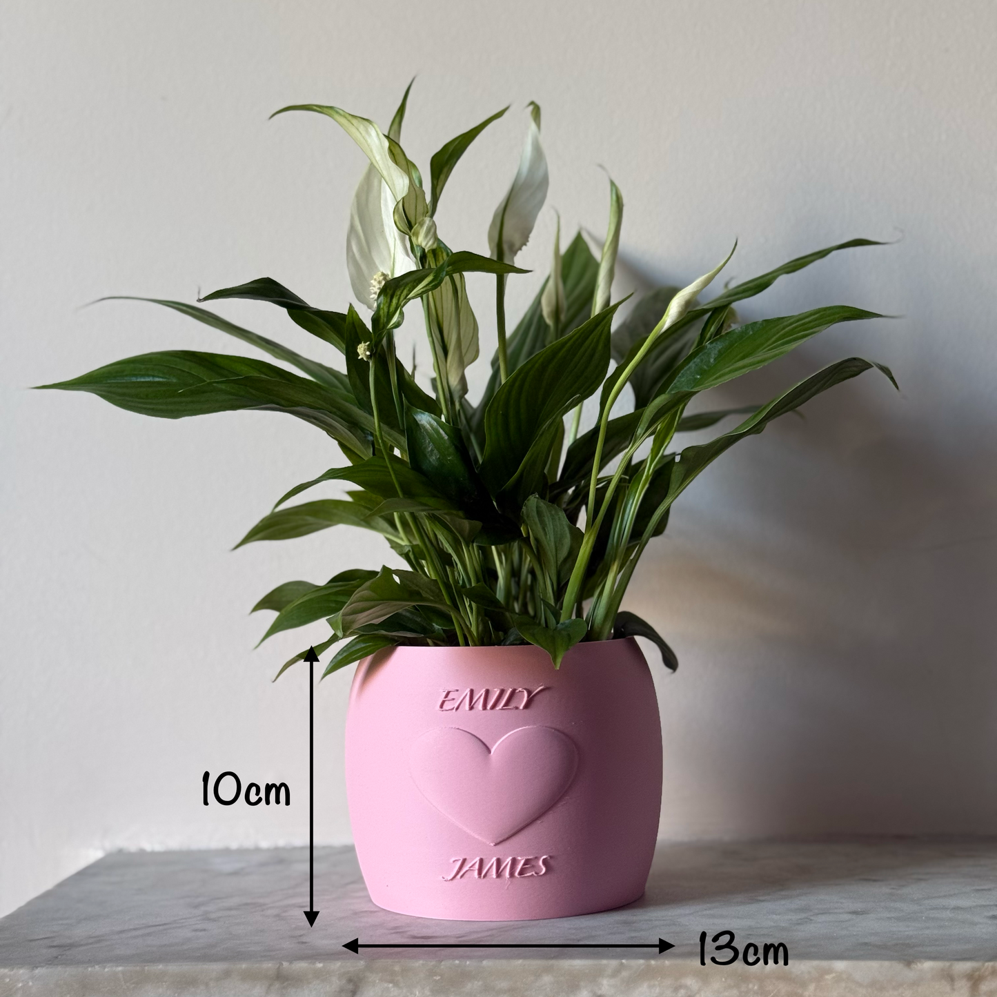 Potted plant in a pink Potfolia plant pot with embossed heart and names on a marble surface with measurements