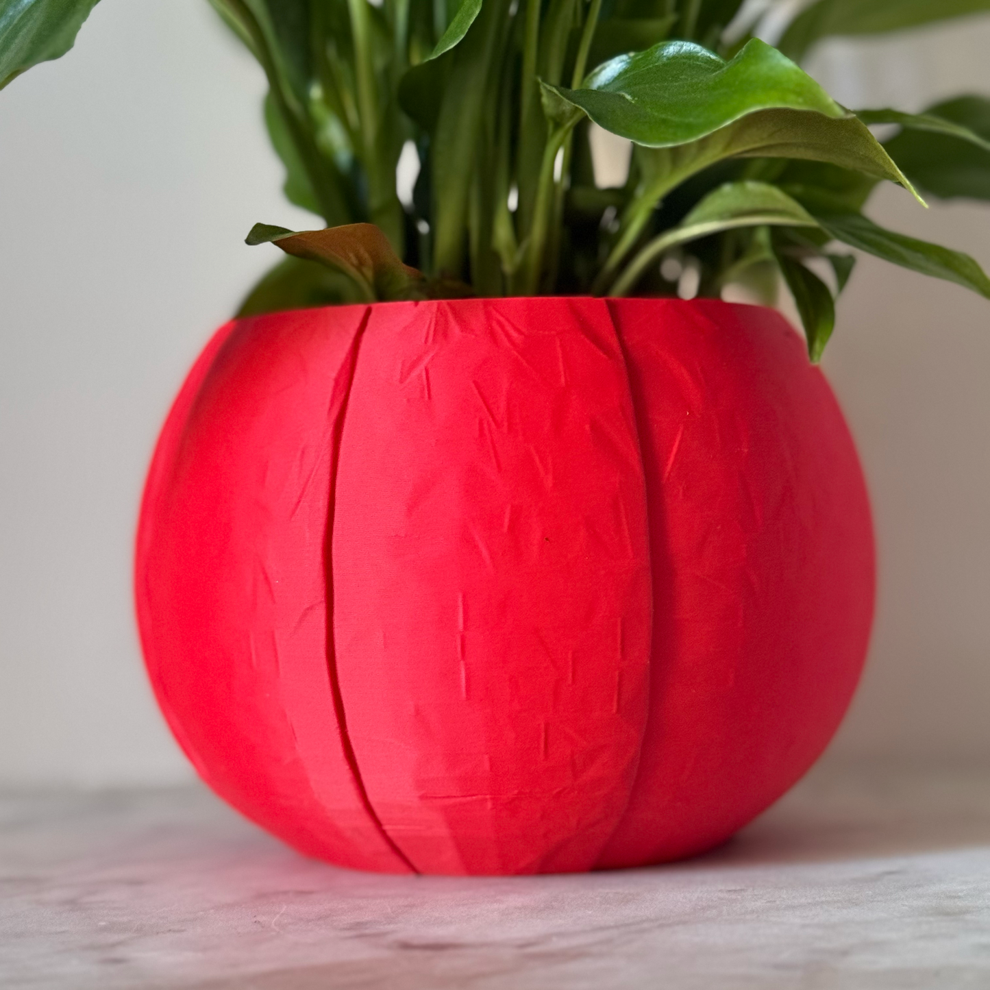 Potted plant in a red plant pot on a marble surface against a white background
