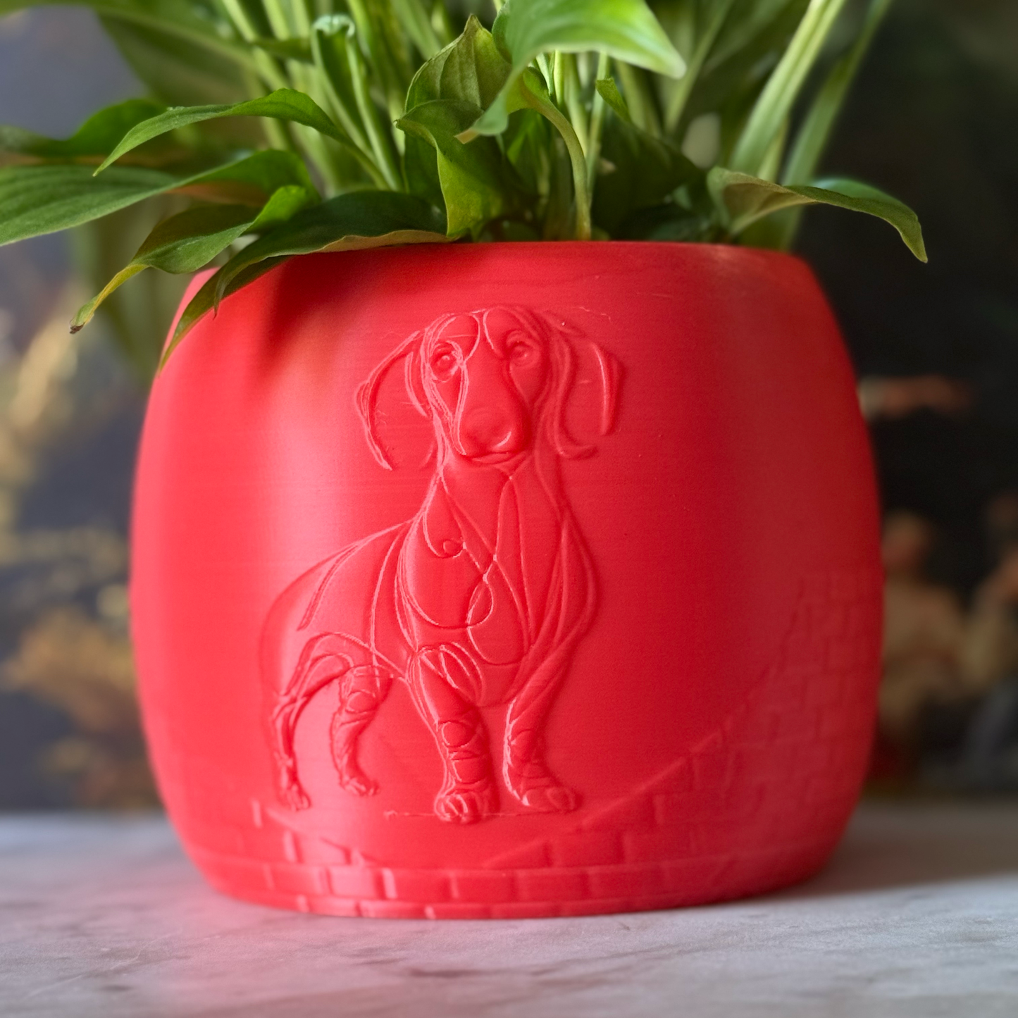 Green potted plant in a red plant pot with an embossed Sausage Dog standing on a marble surface