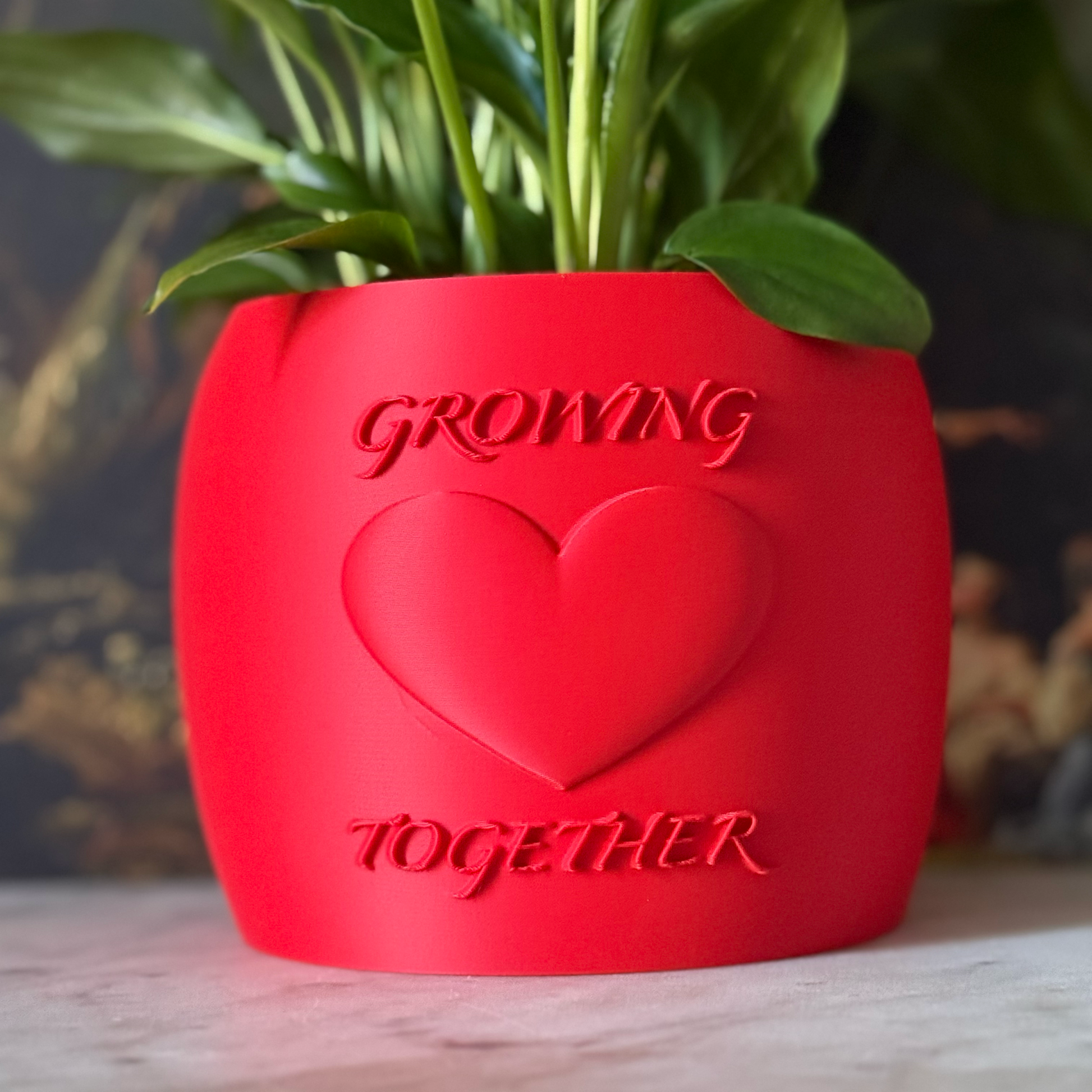 Potted plant in a red Potfolia plant pot with embossed heart and Growing Together text on a marble surface