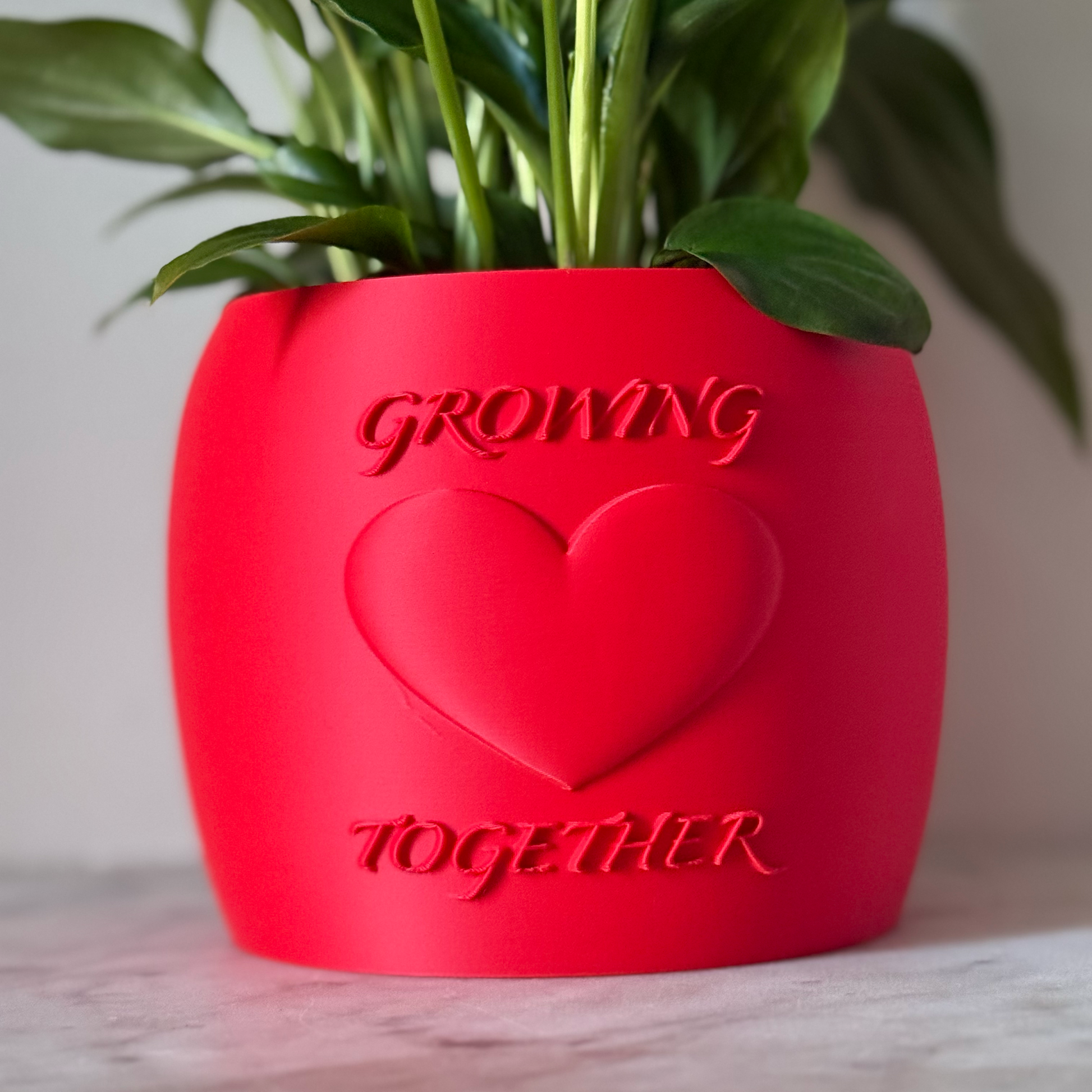Potted plant in a red Potfolia plant pot with embossed heart and Growing Together text on a marble surface