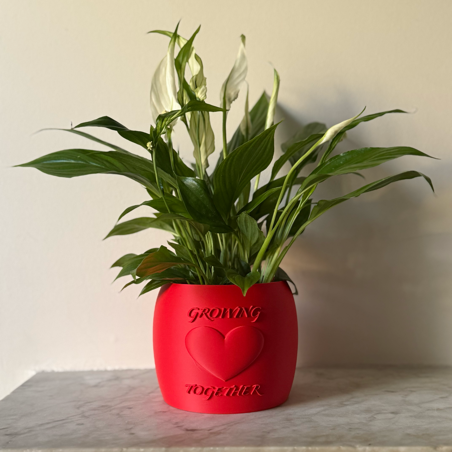 Potted plant in a red Potfolia plant pot with embossed heart and Growing Together text on a marble surface