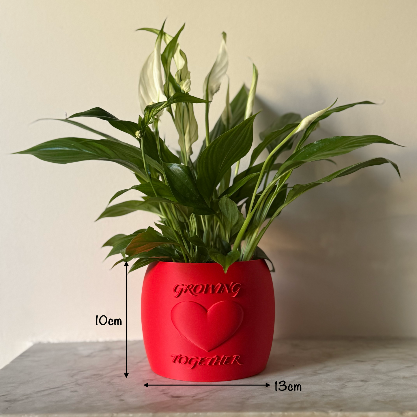 Potted plant in a red Potfolia plant pot with embossed heart and Growing Together text on a marble surface with measurements