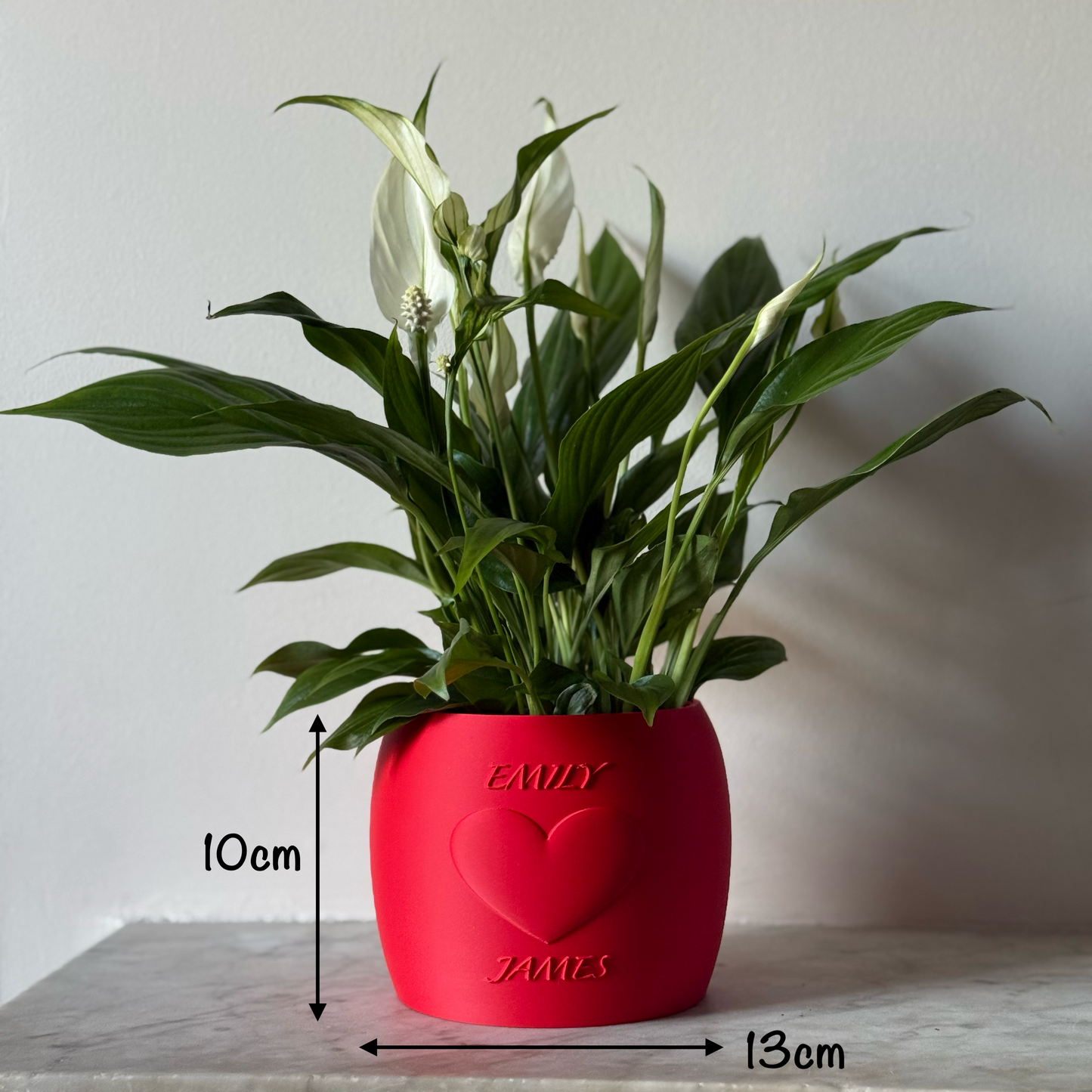 Potted plant in a red Potfolia plant pot with embossed heart and names on a marble surface with measurements
