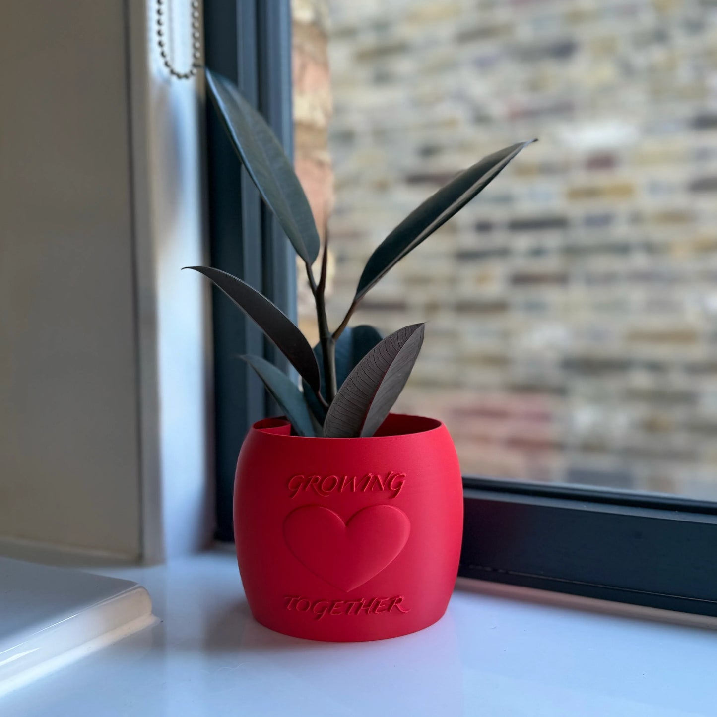 Potted plant in a red Potfolia plant pot with embossed heart and Growing Together text on a white surface