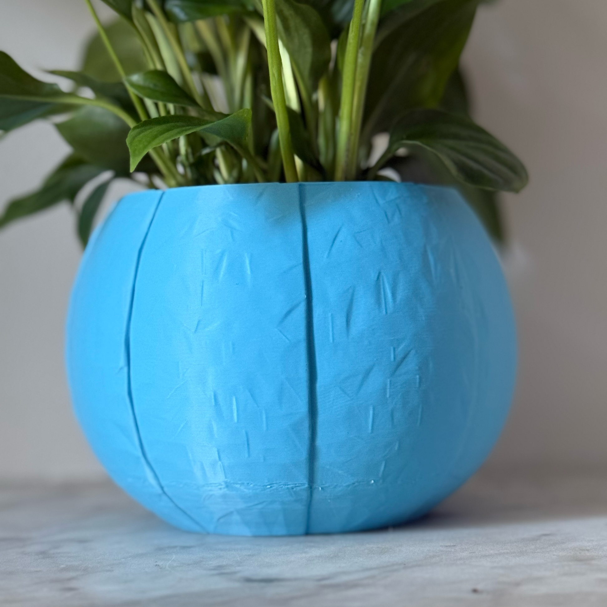 Potted plant in a blue plant pot on a marble surface against a white background