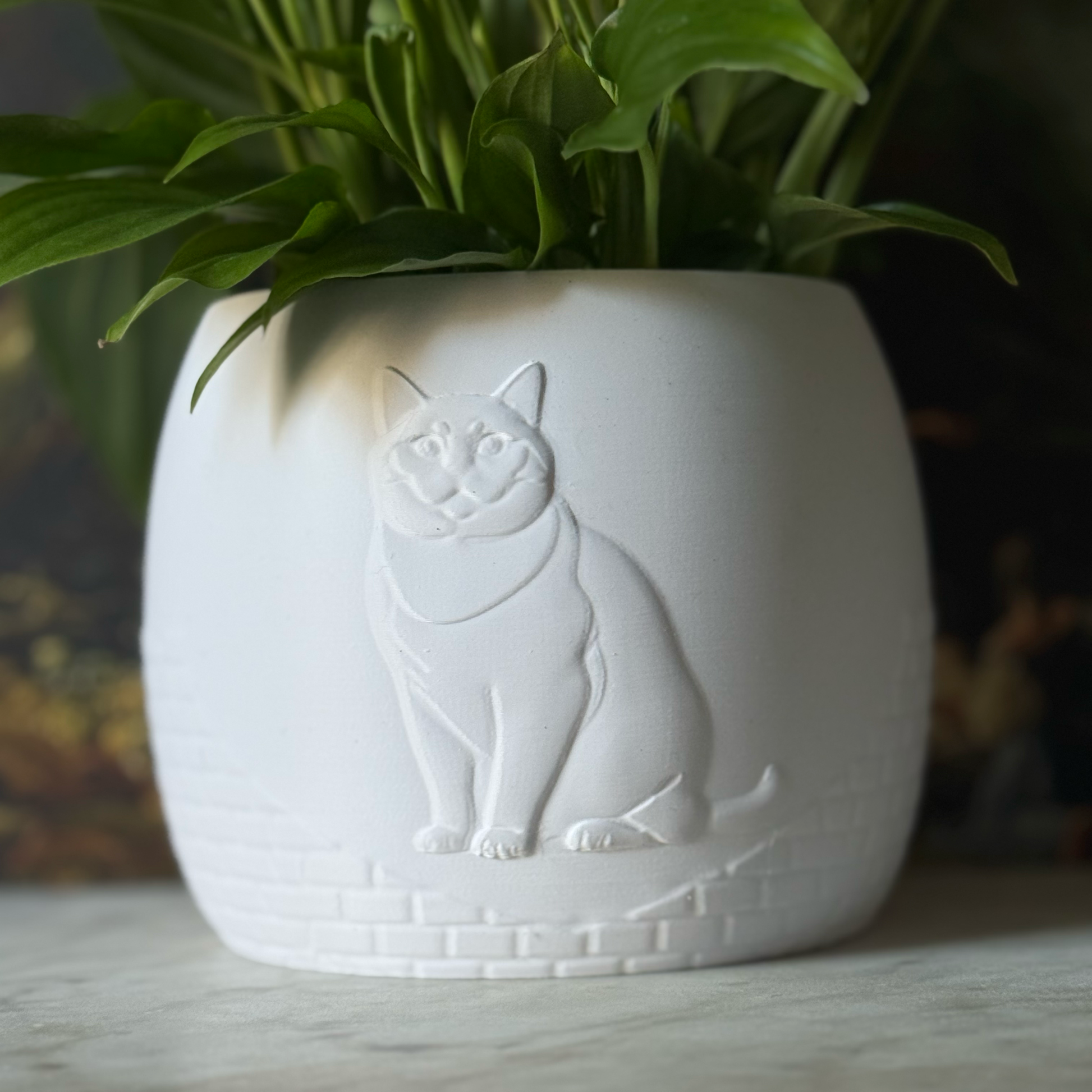 Green potted plant in a white plant pot with an embossed British Shorthair standing on a marble surface